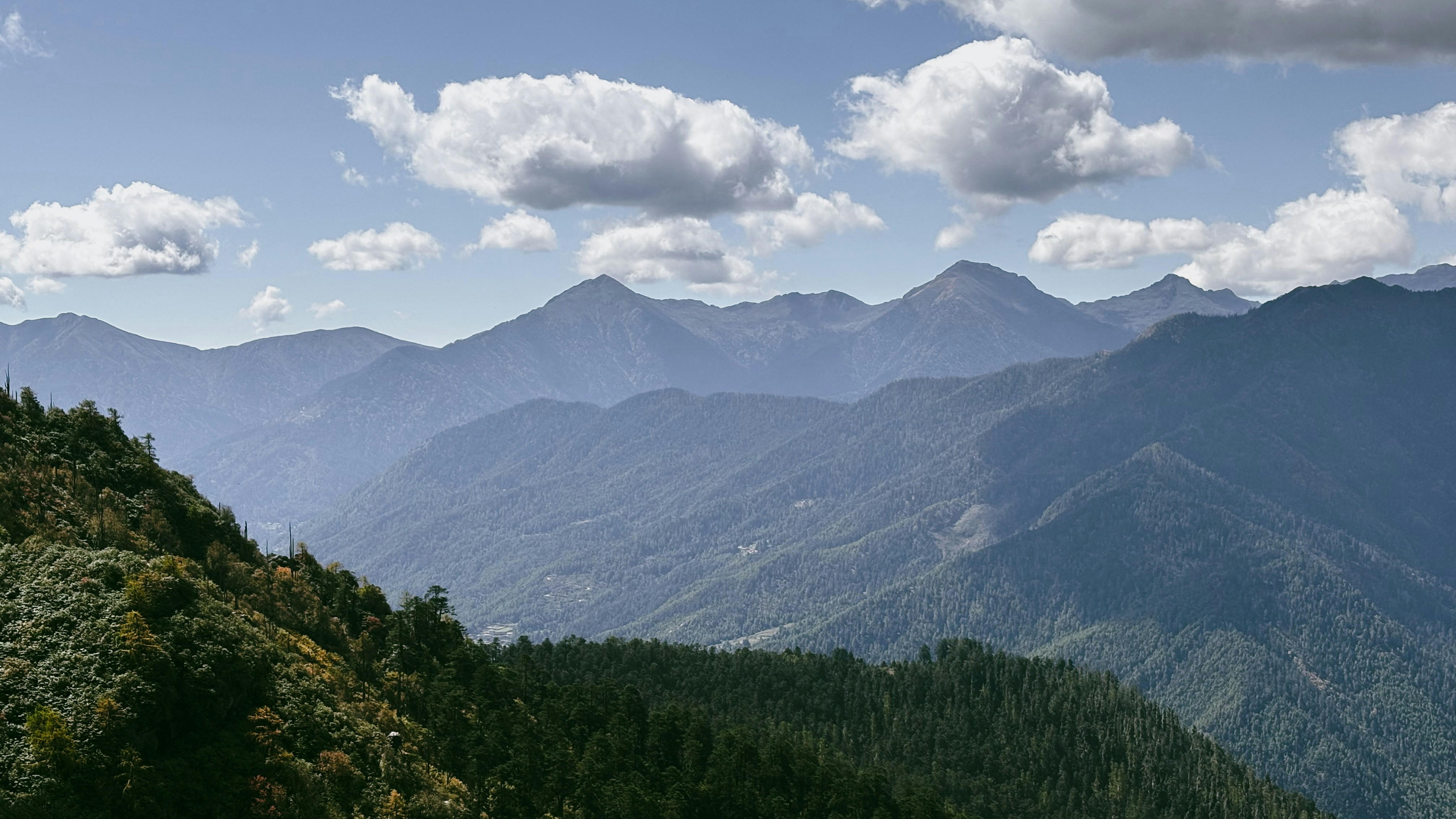 Photo by rkdotdesign