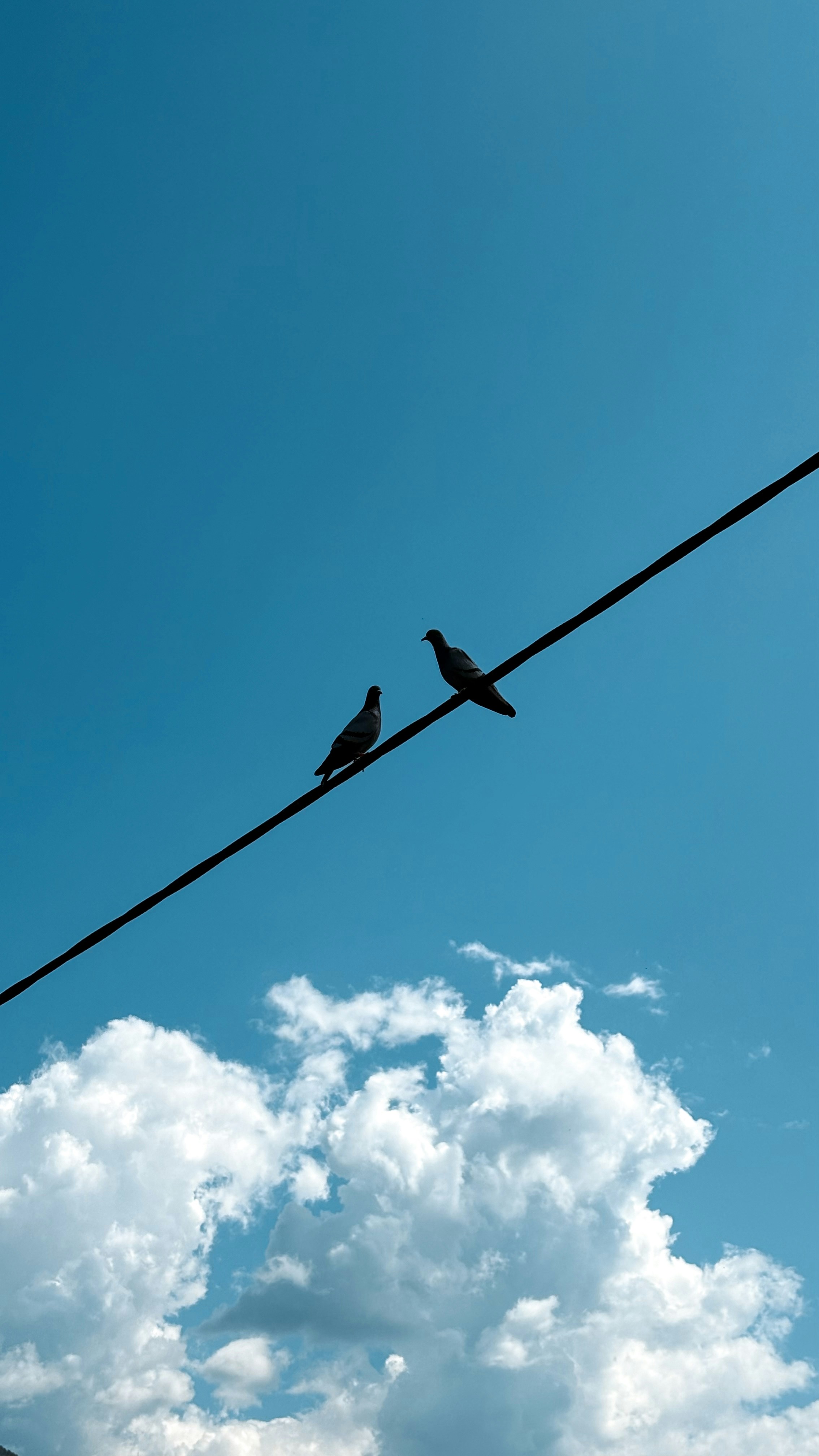 Photo by rkdotdesign