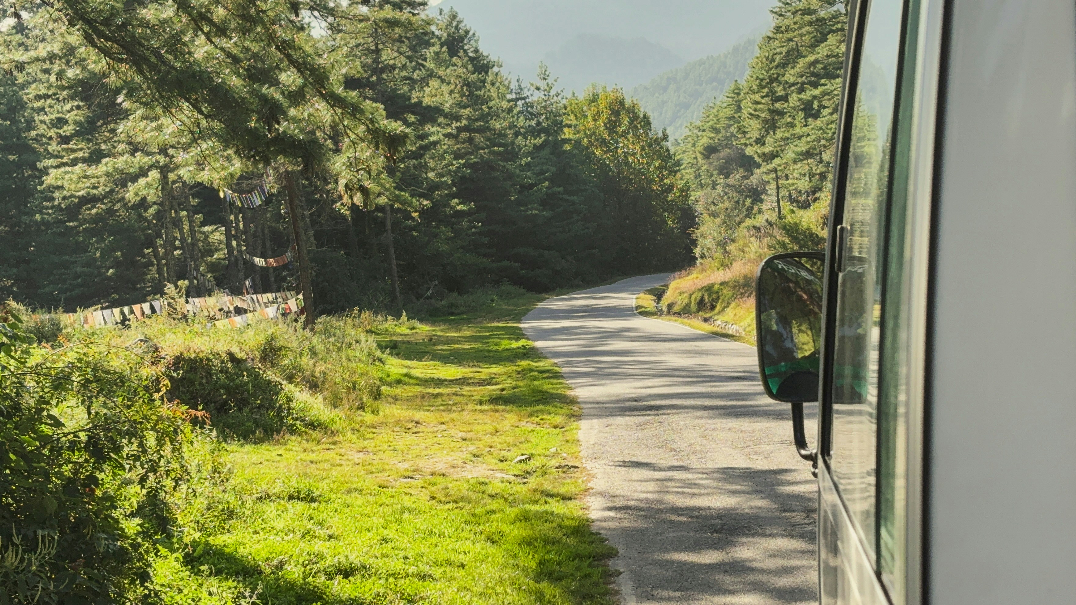 Winding road through a sunlit forest landscape
