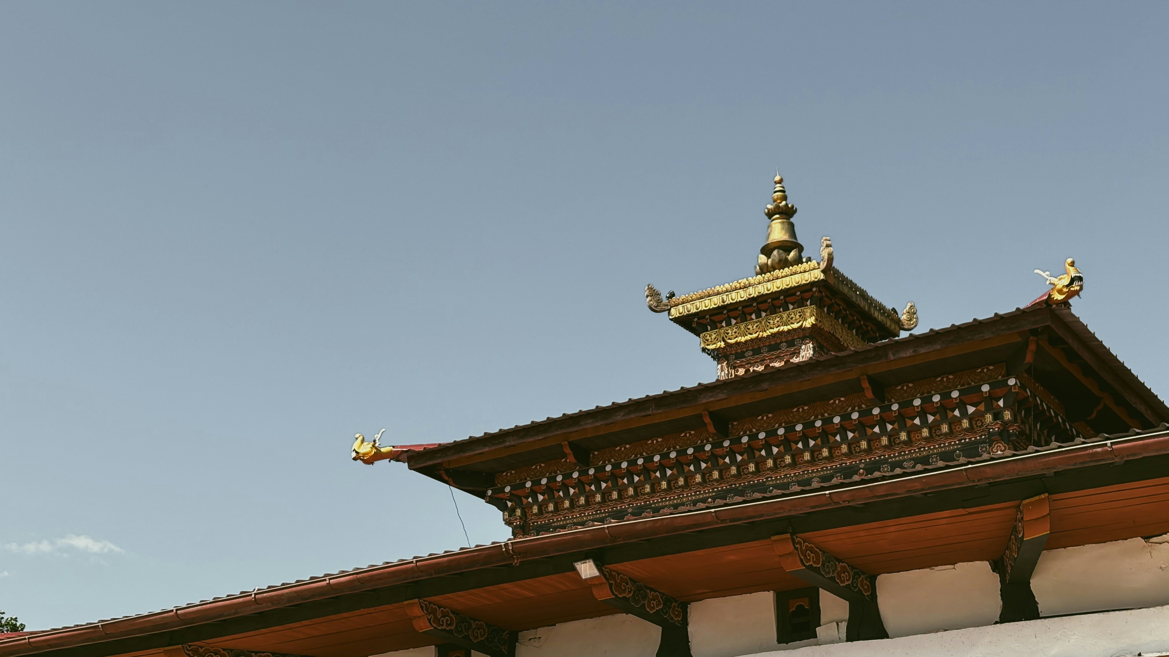 Photo by rkdotdesign