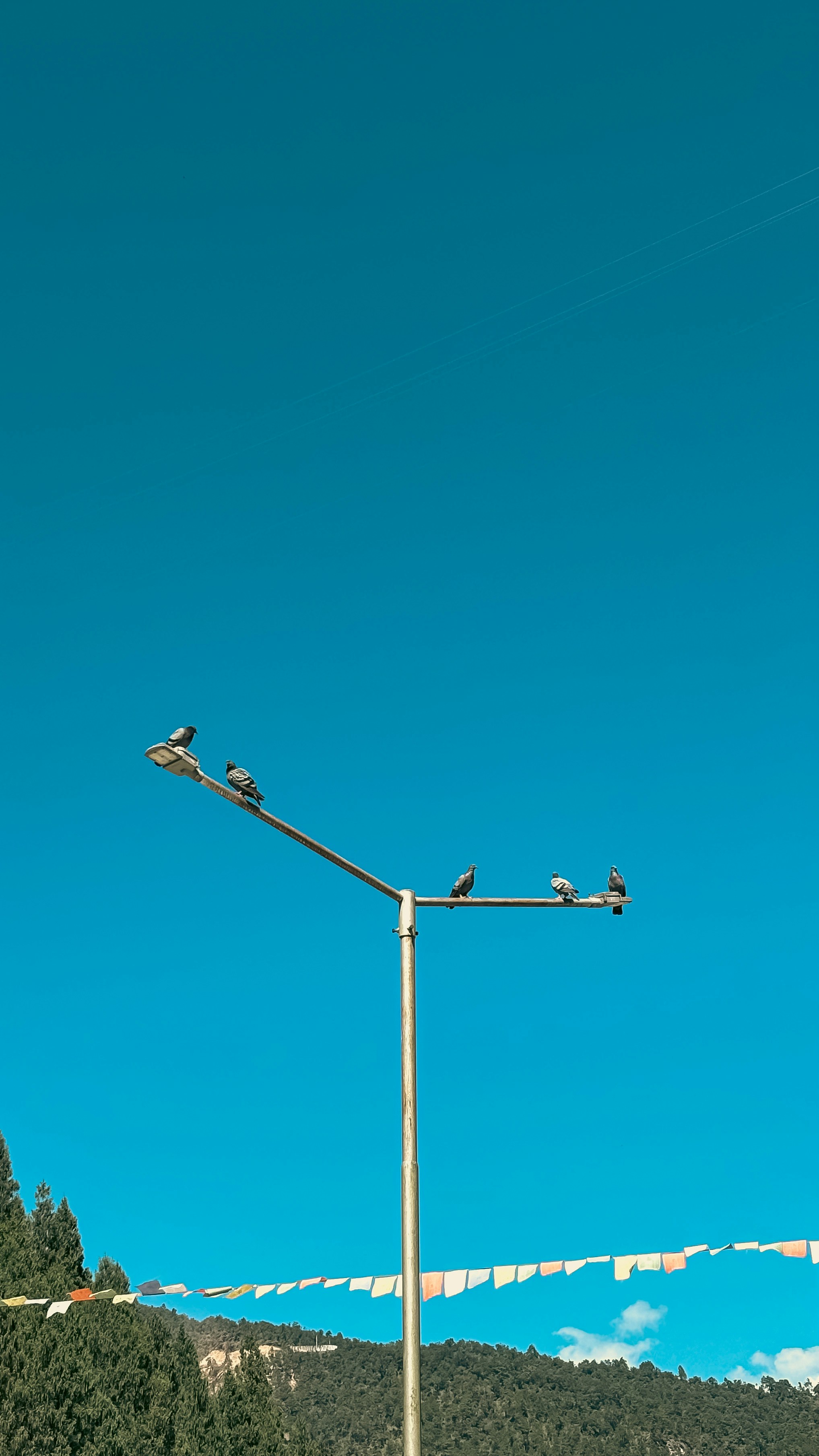 Photo by rkdotdesign