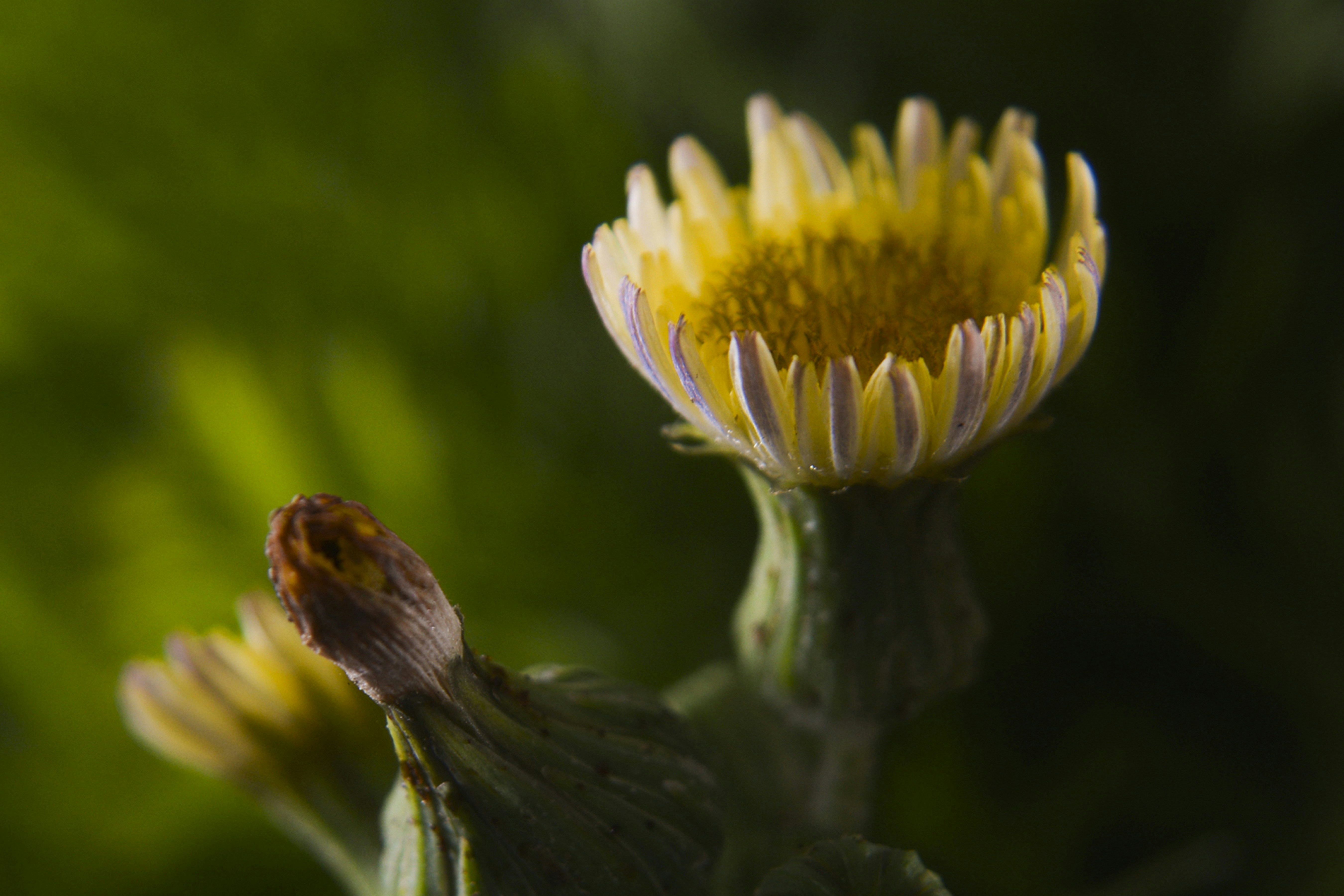 Photo by leonardo_2025