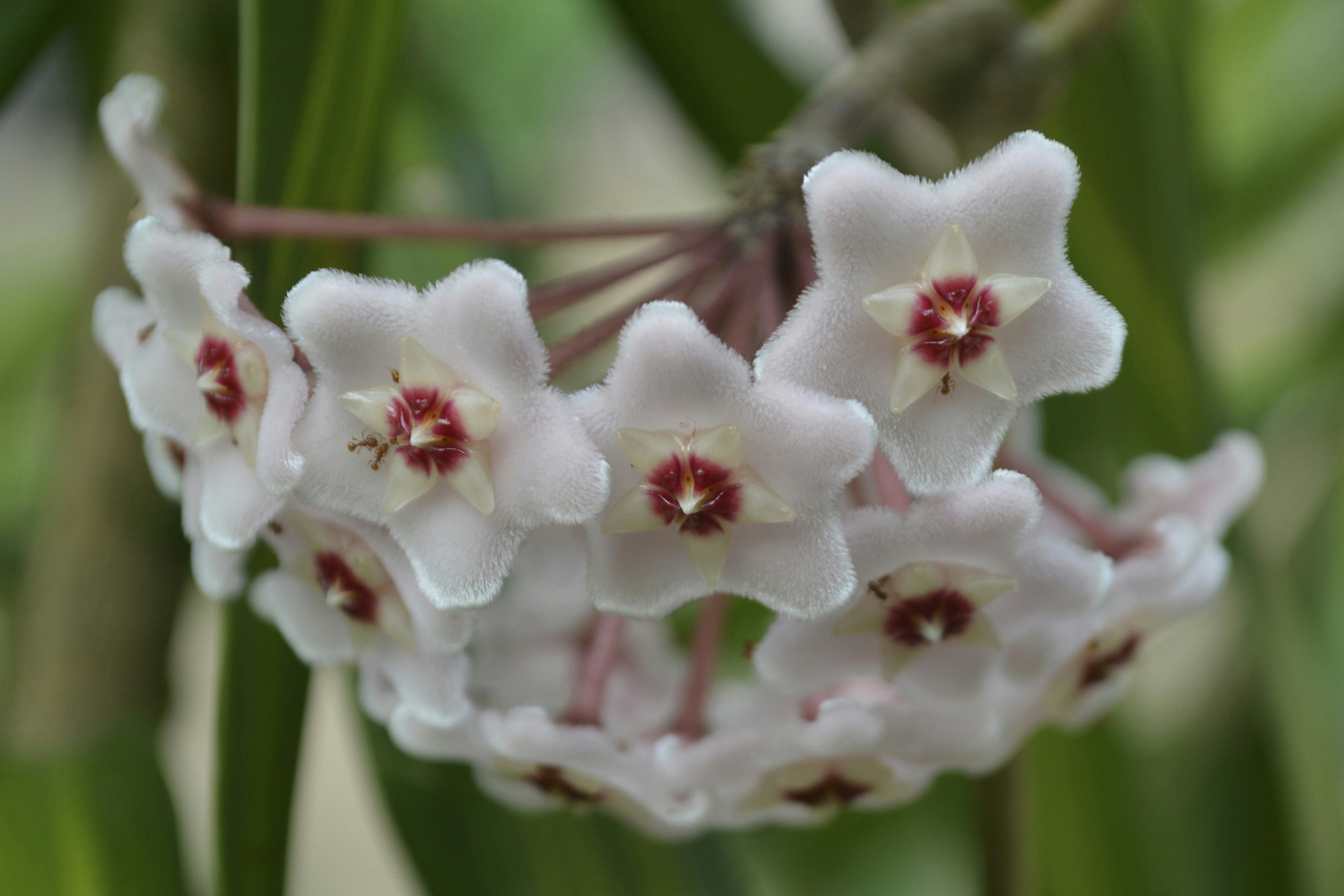 Photo by leonardo_2025