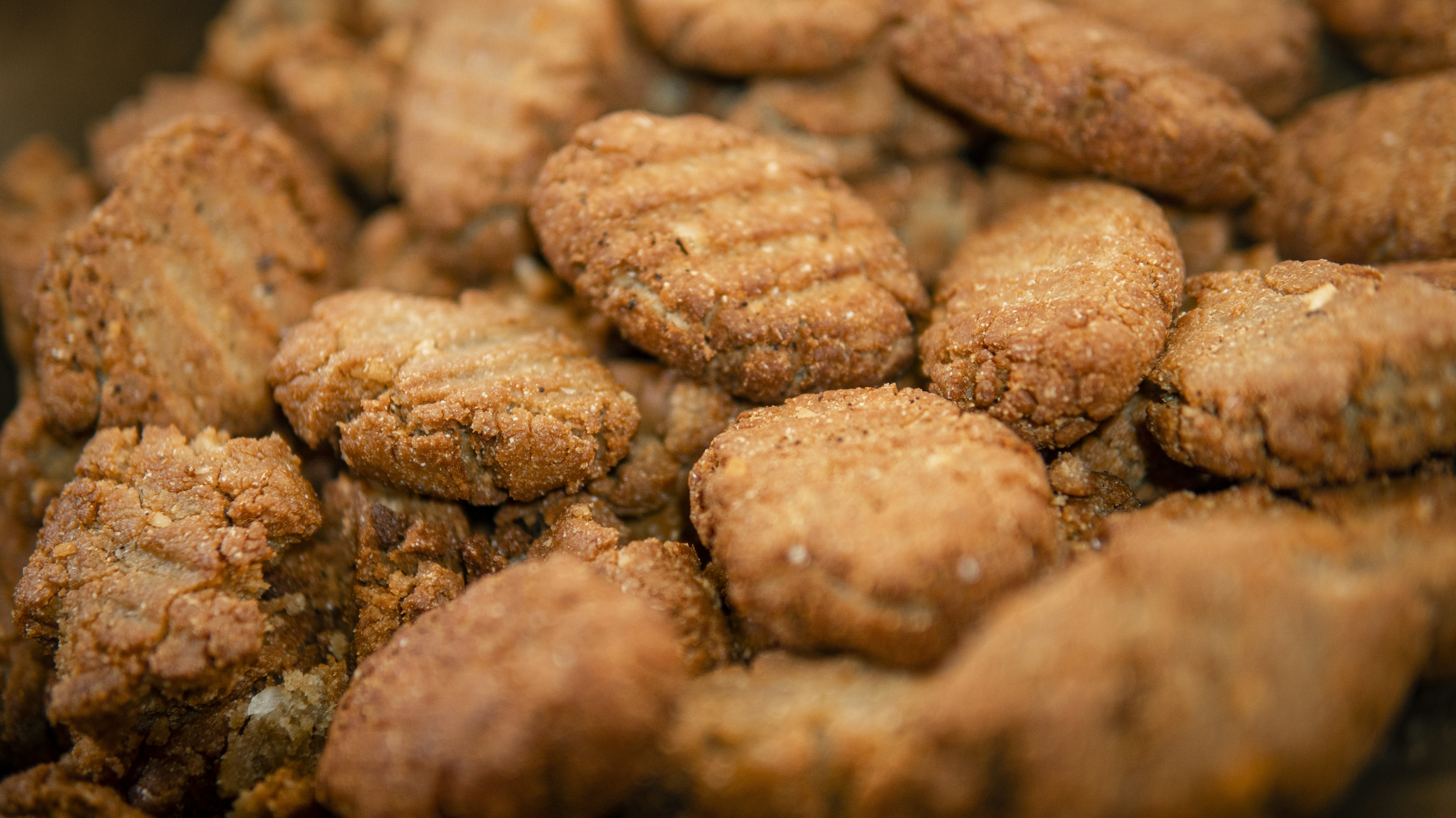 Are Baked Kibbles Better for Digestion?