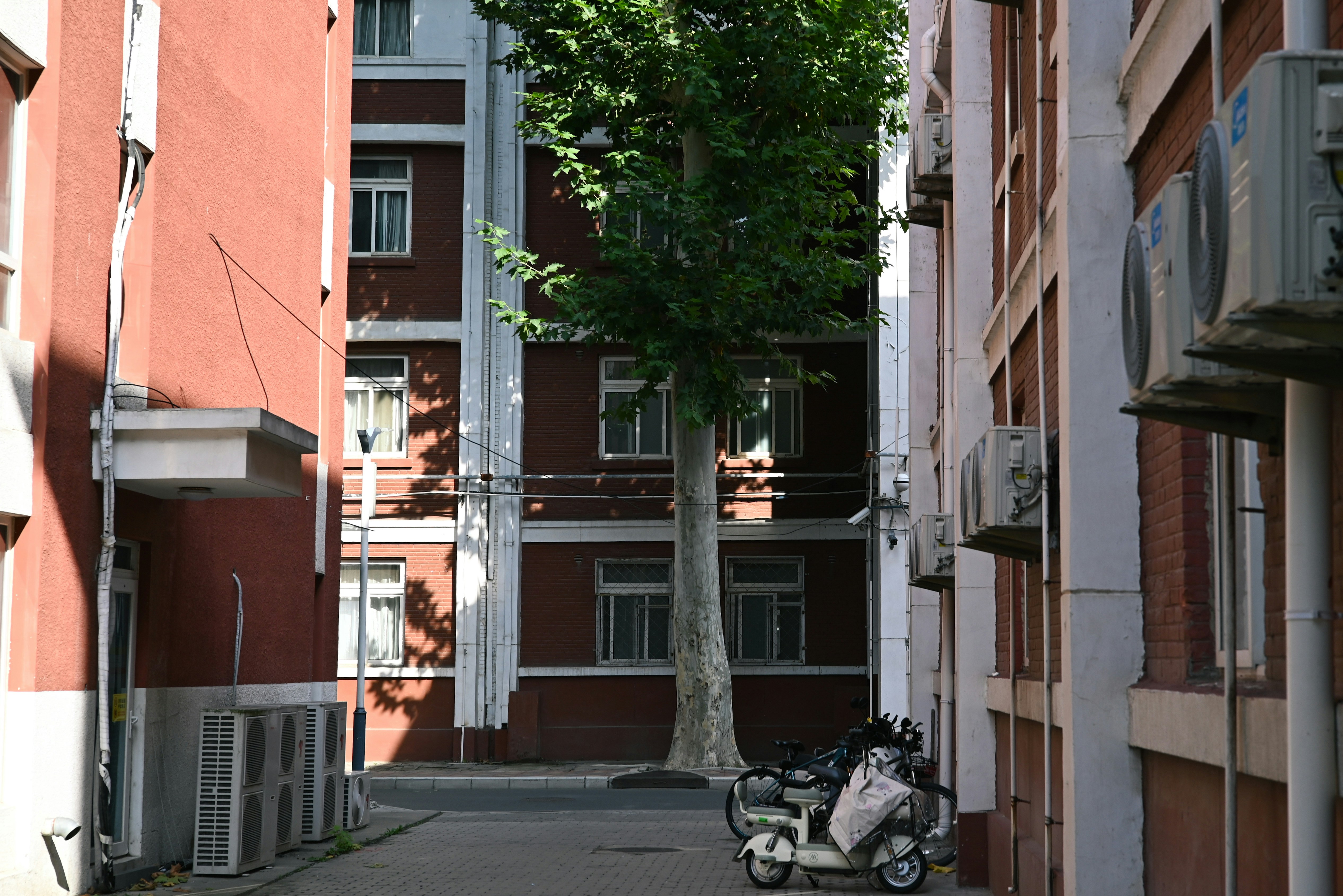 Buildings flank a tree with a parked scooter.