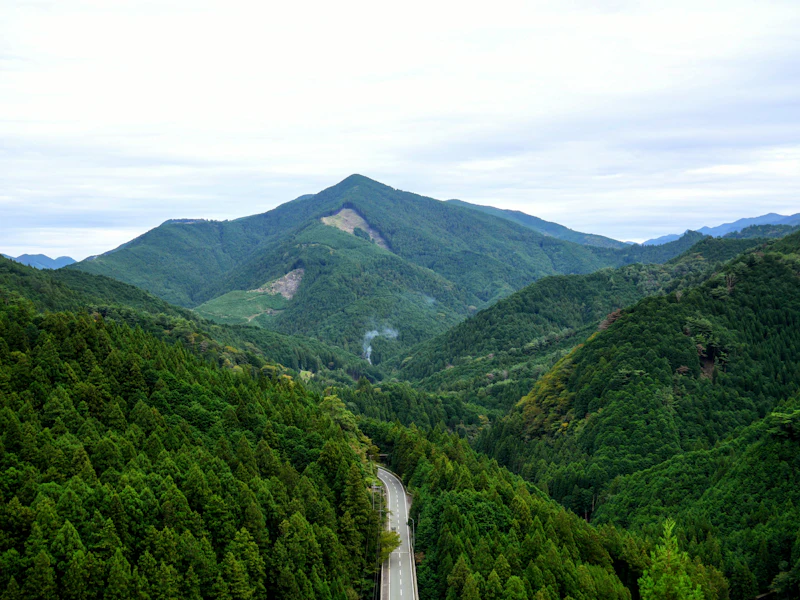 曇り空の下、緑の山を縫う道