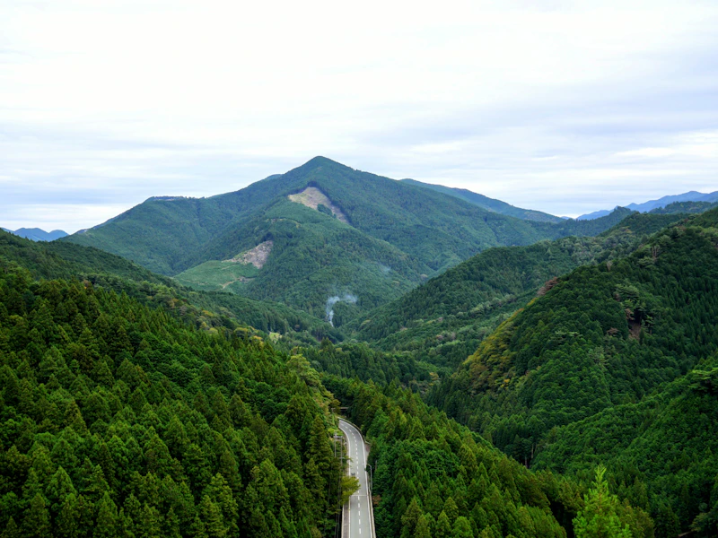 曇り空の下、緑の山を縫う道