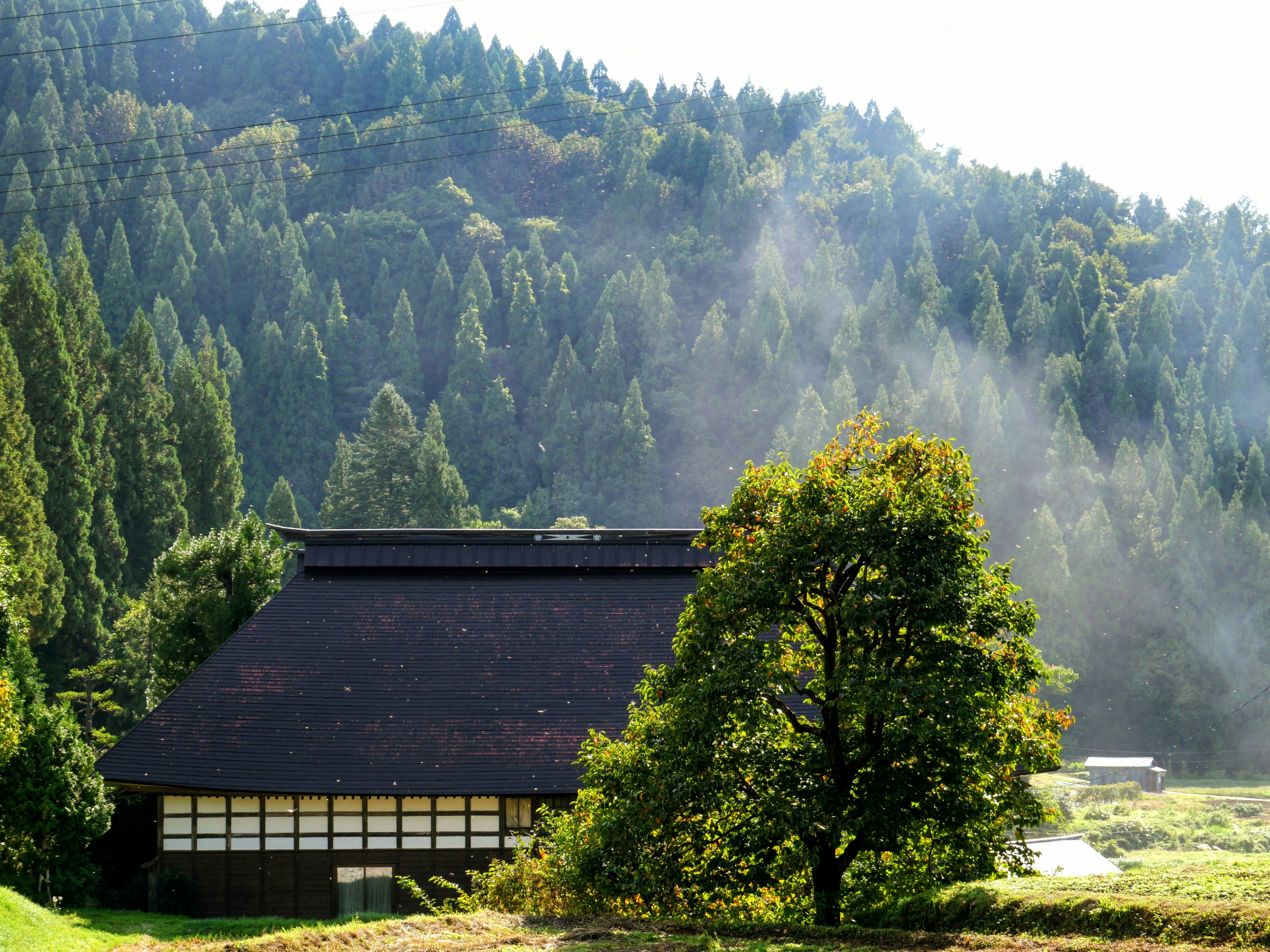 Japanese countryside sauna