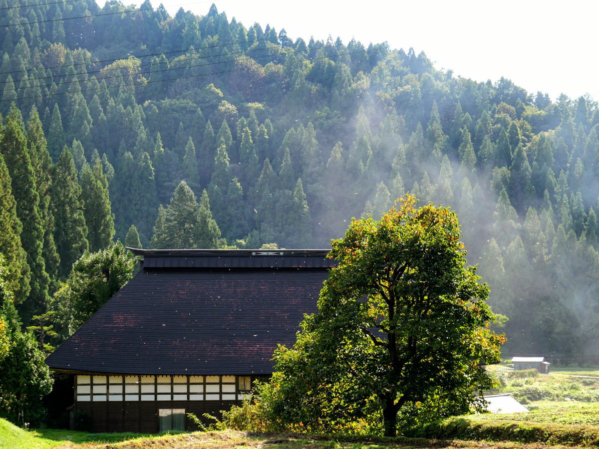 Traditionelles Gassho-Bauernhaus mit dunklem Ziegeldach in japanischer Landschaft.