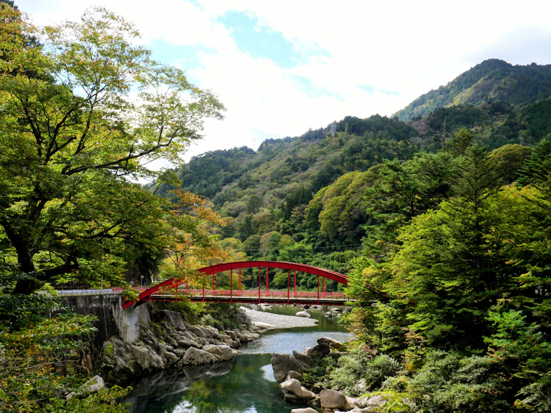 The Tateyama Kurobe Alpine Route: Japan's Most Dramatic Mountain Journey