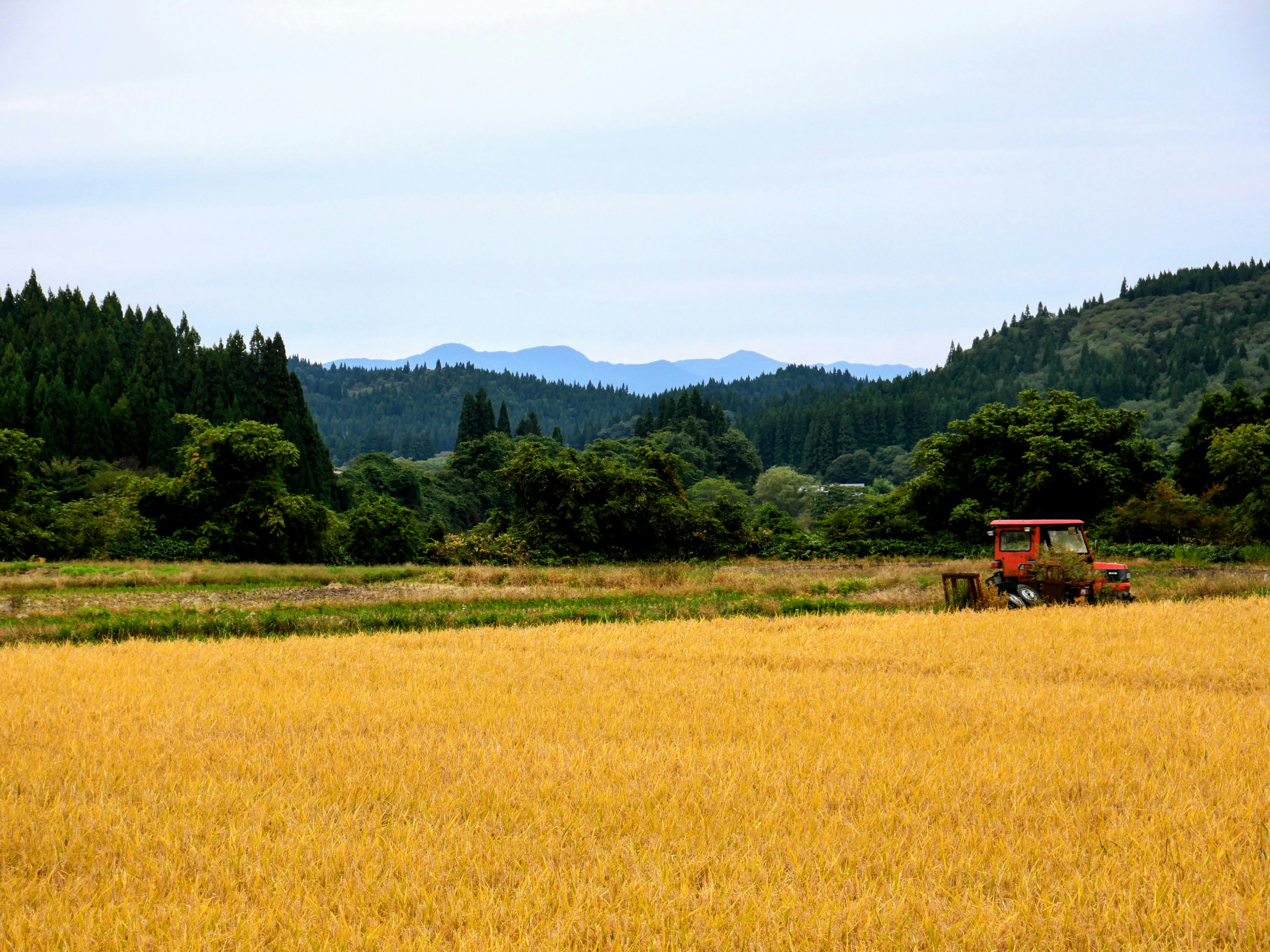 Japanese countryside farm stay