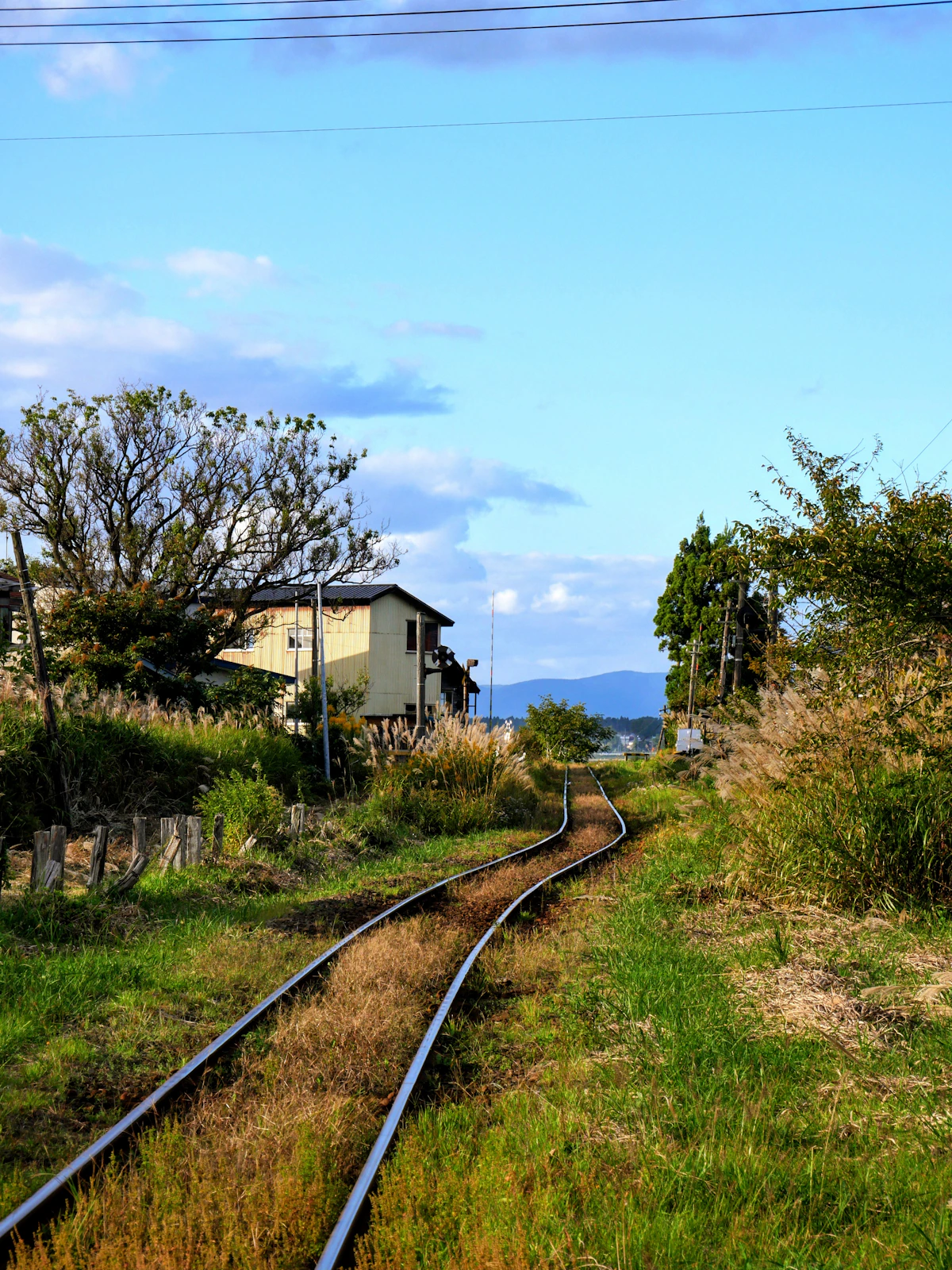 Verlassenes Dorf in Tohoku mit alten Bahnschienen.