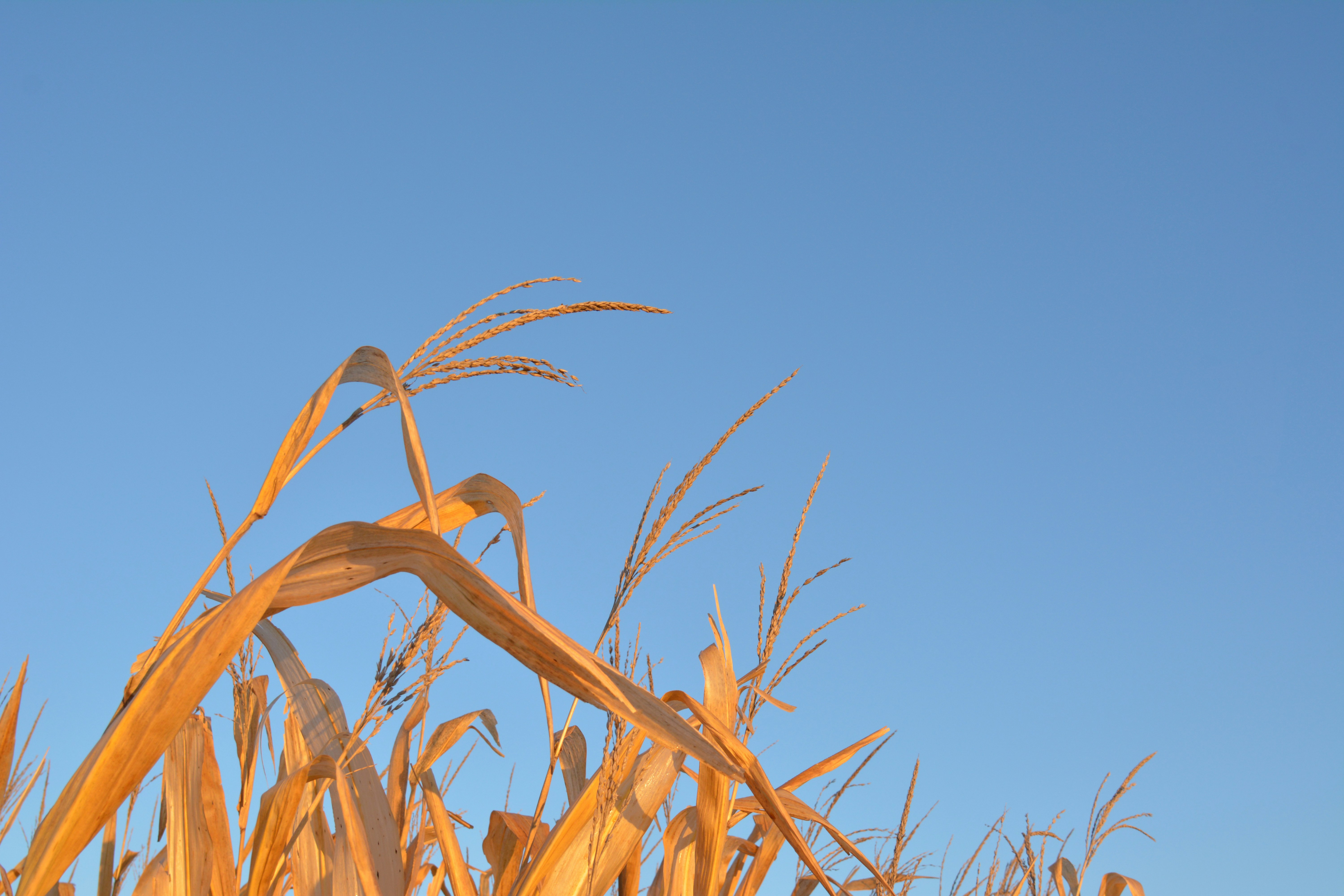 Photo by jhudsongraves