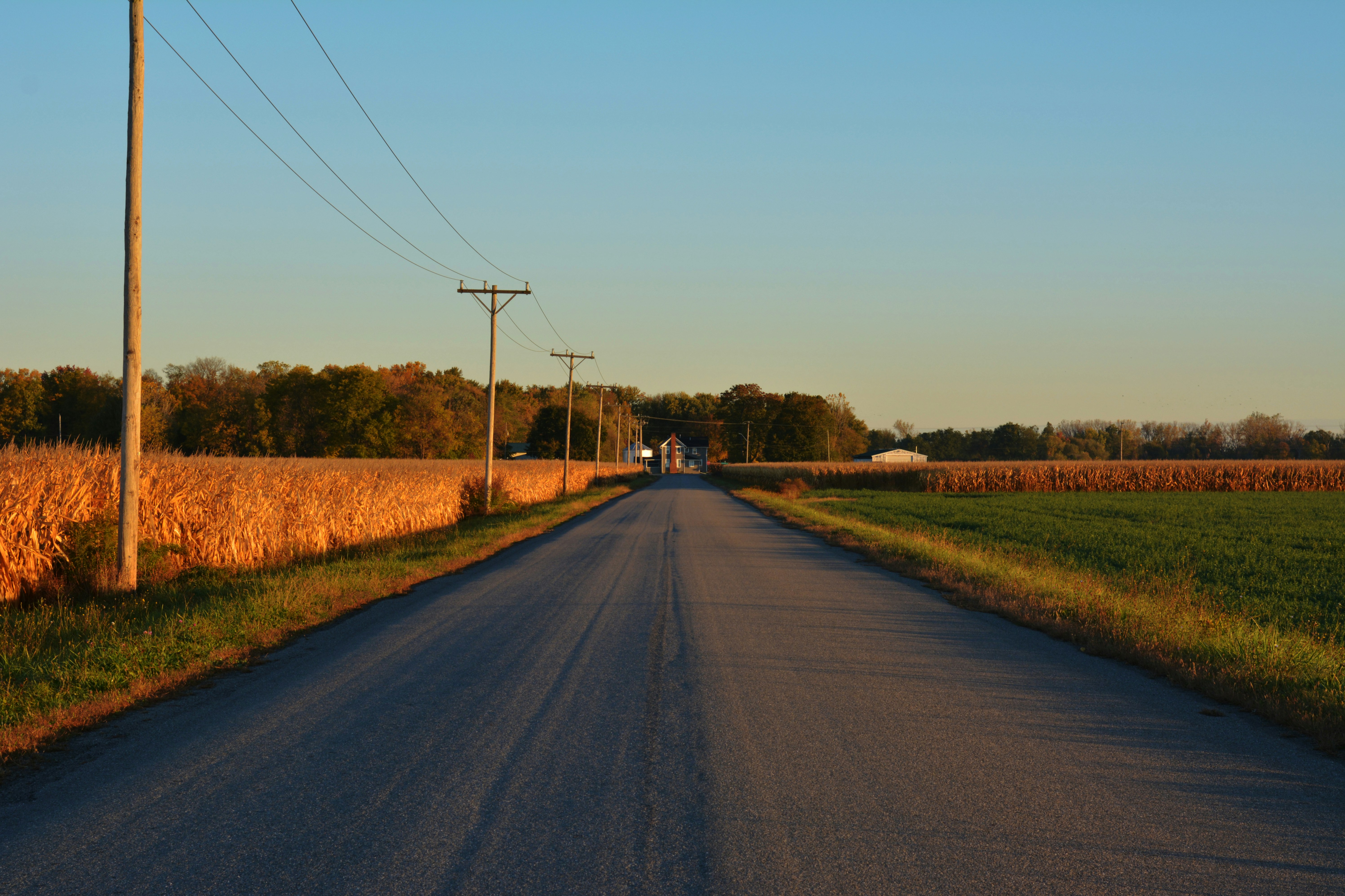 A long, empty road through agricultural fields at sunset.