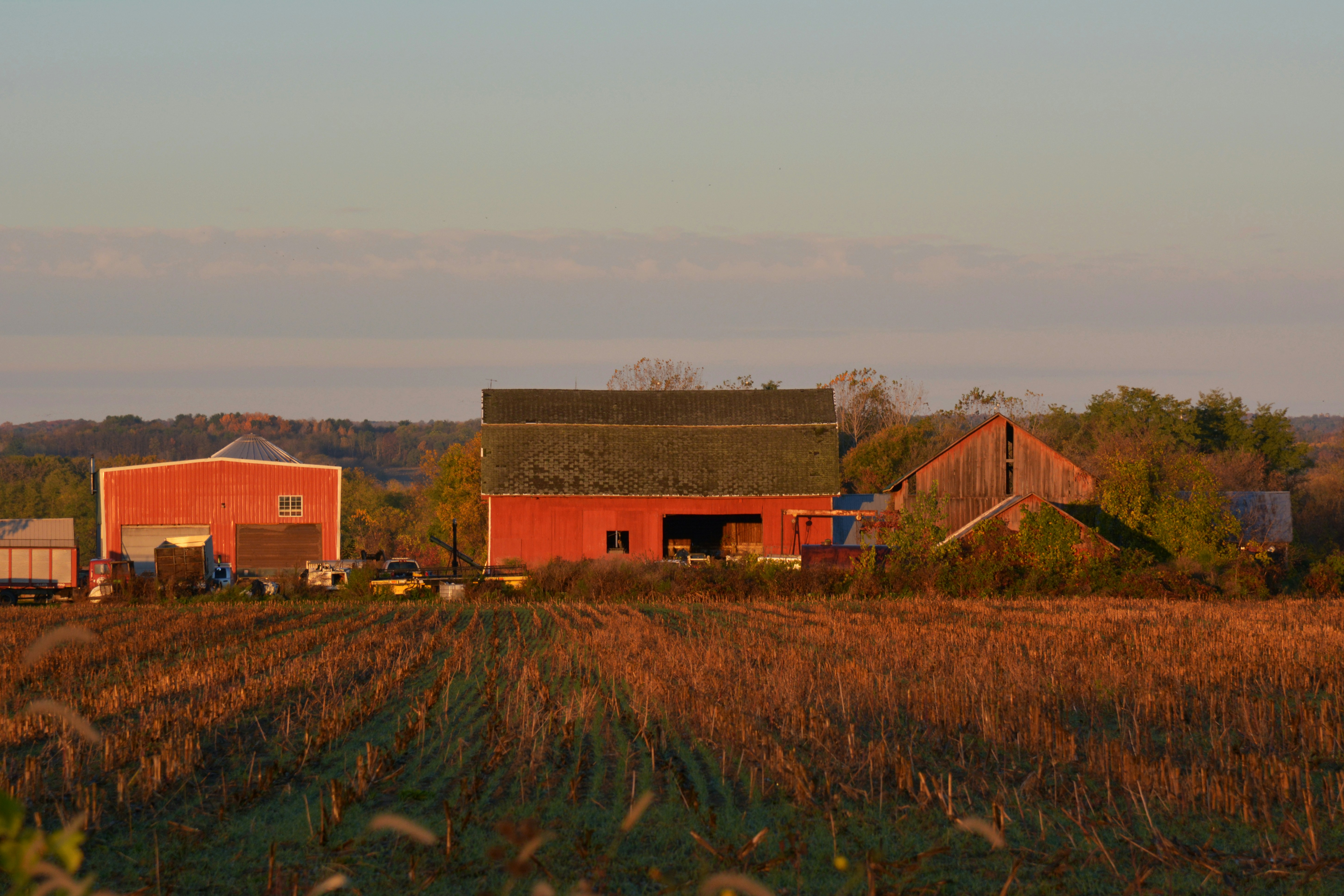 Field Review: Portable Power Packs and Diagnostic Gear for Home Health — 2026