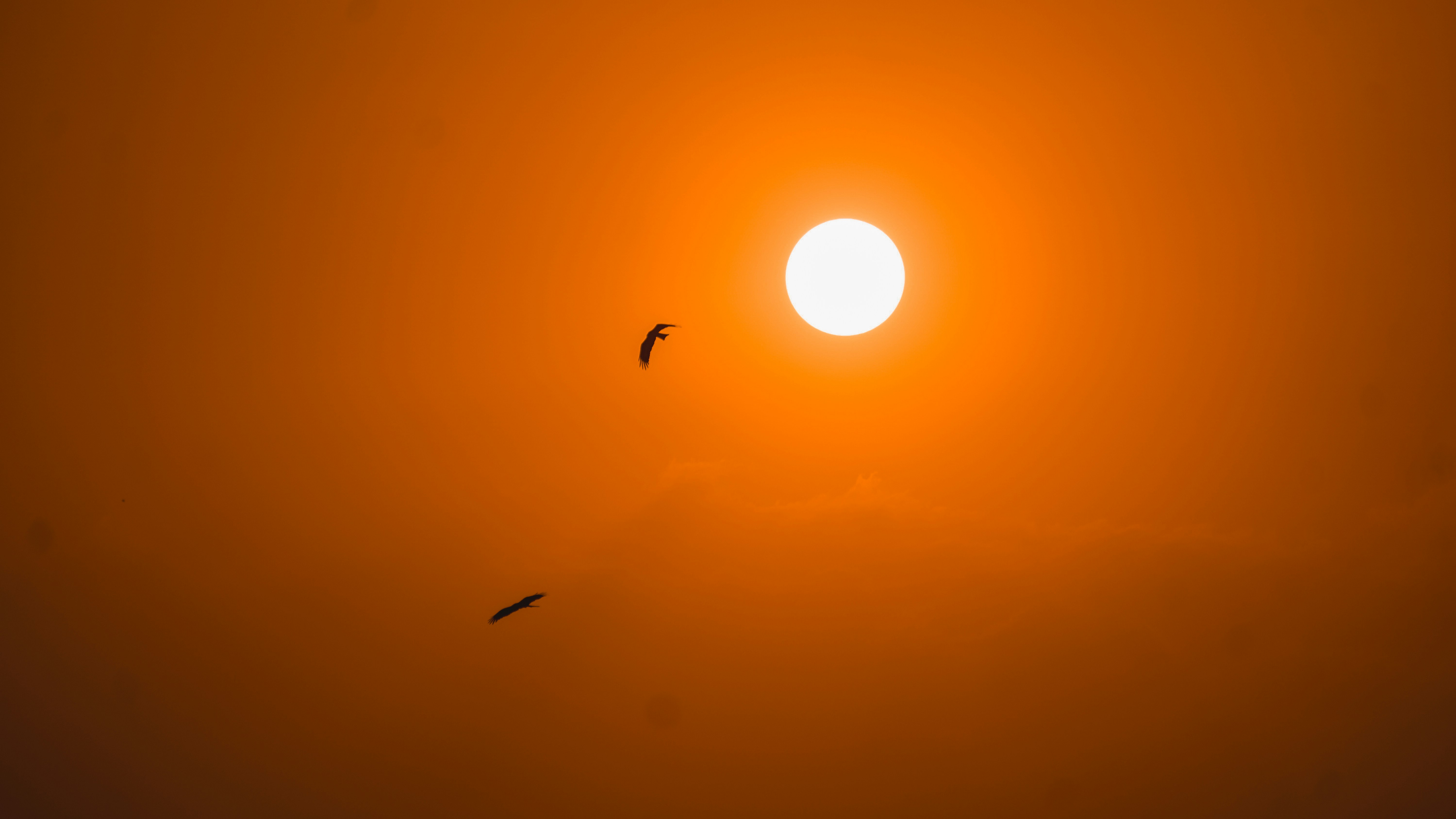 Bright sun with two birds flying