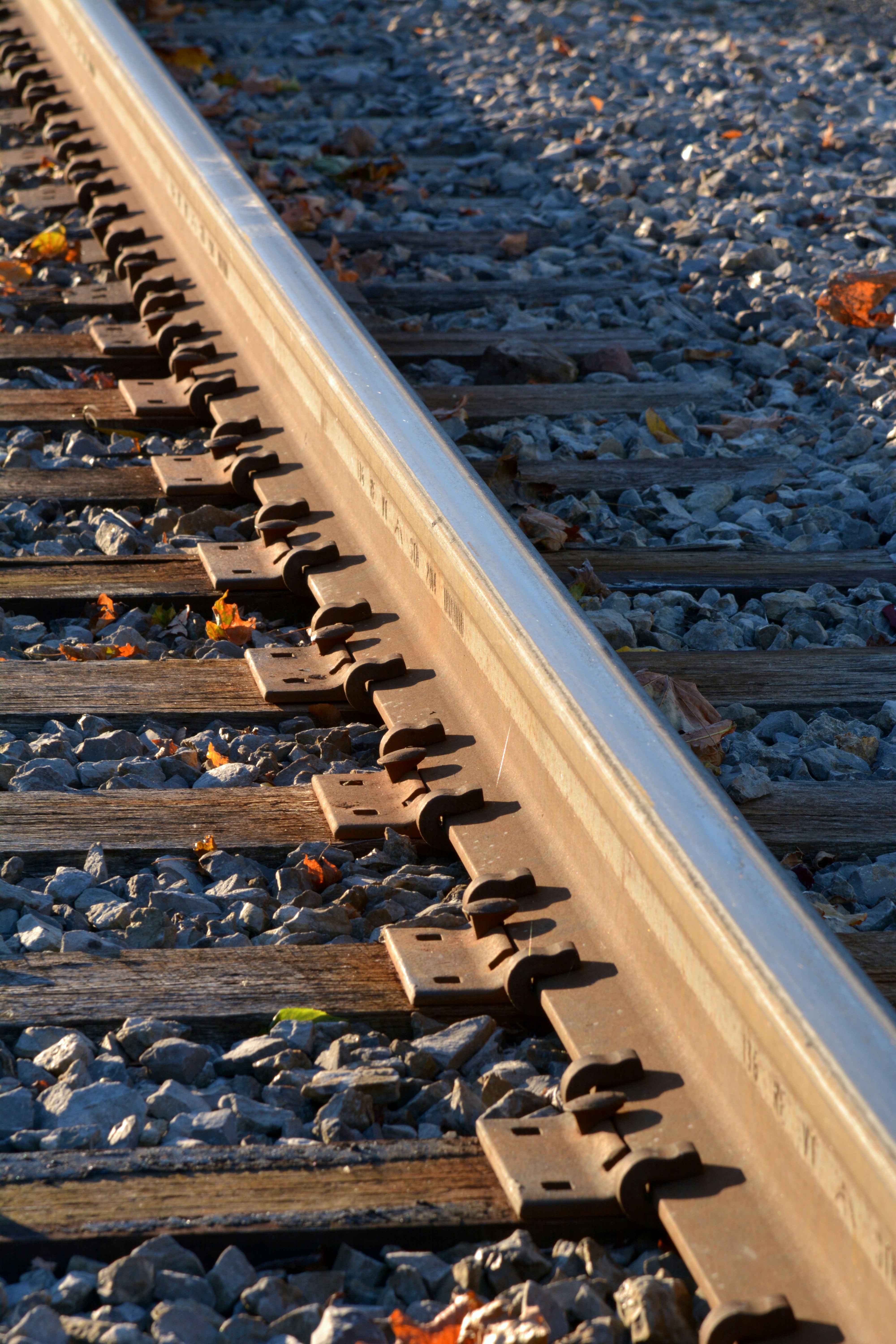 Photo by jhudsongraves