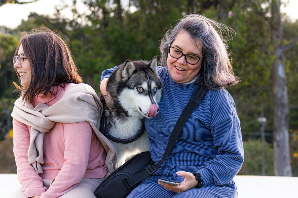 An owner rewarding their dog with a treat
