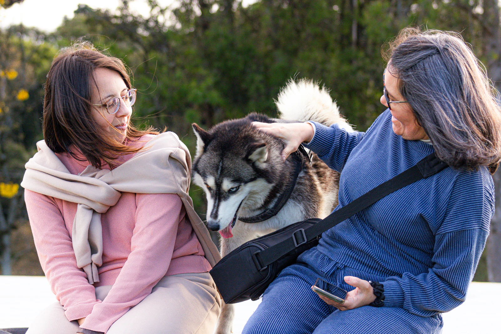 Dos personas acariciando a un perro husky al aire libre