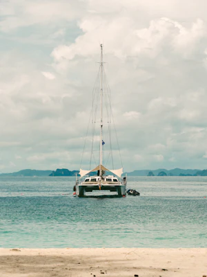 Photo 1761056075029 8003e57ca7f2?auto=format&fit=crop&w=300&q=70