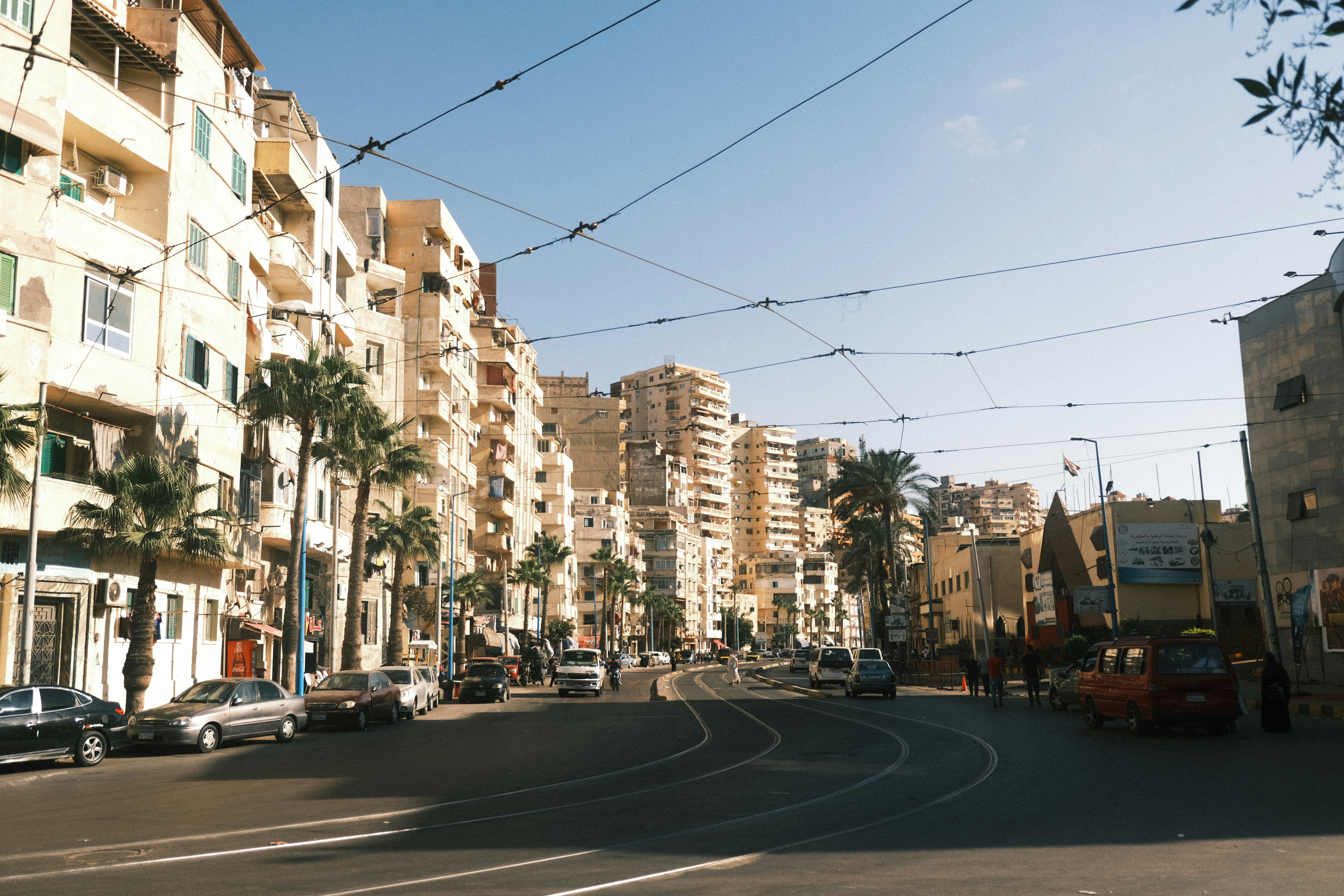 Street with palm trees