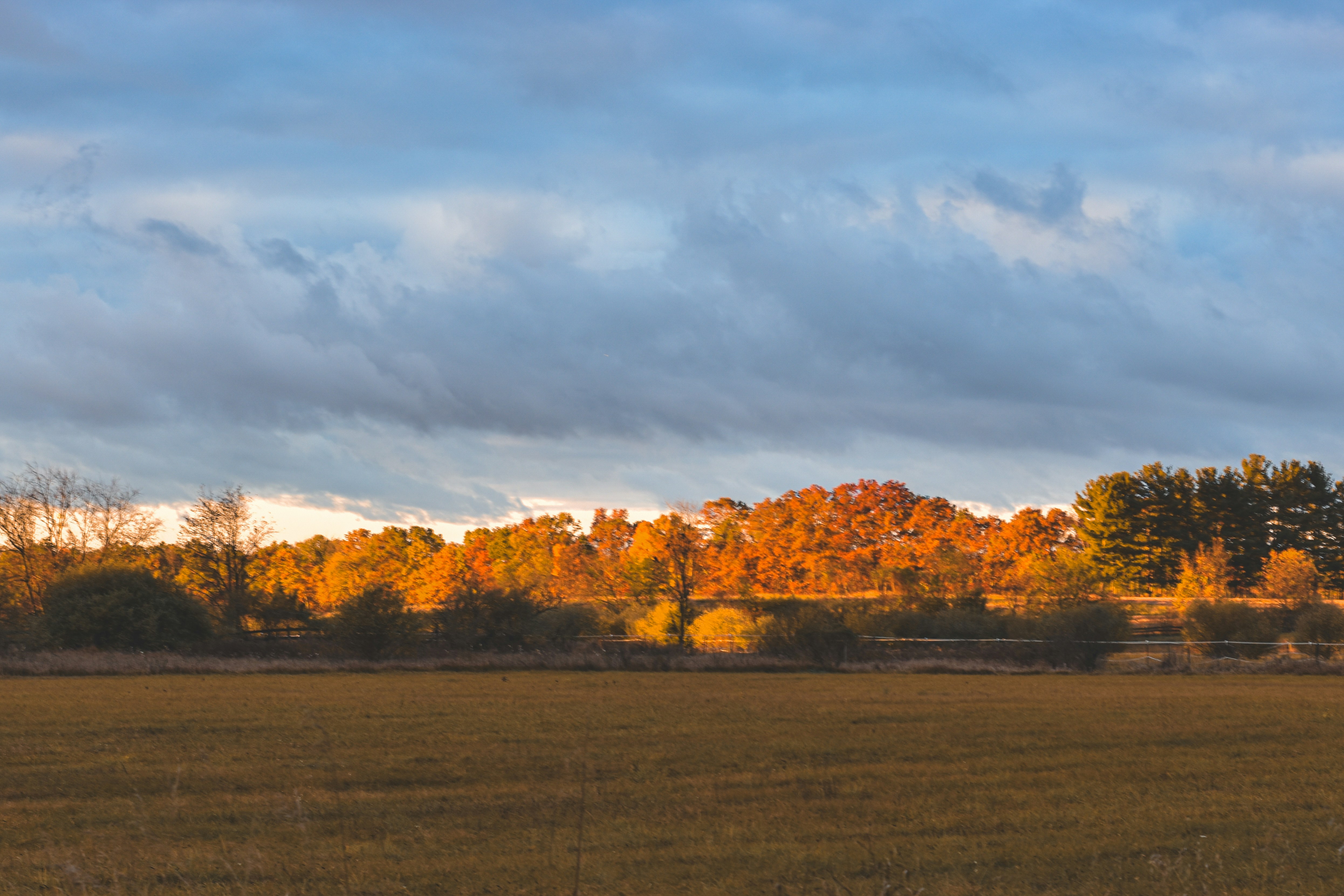 Photo by freefolkphoto