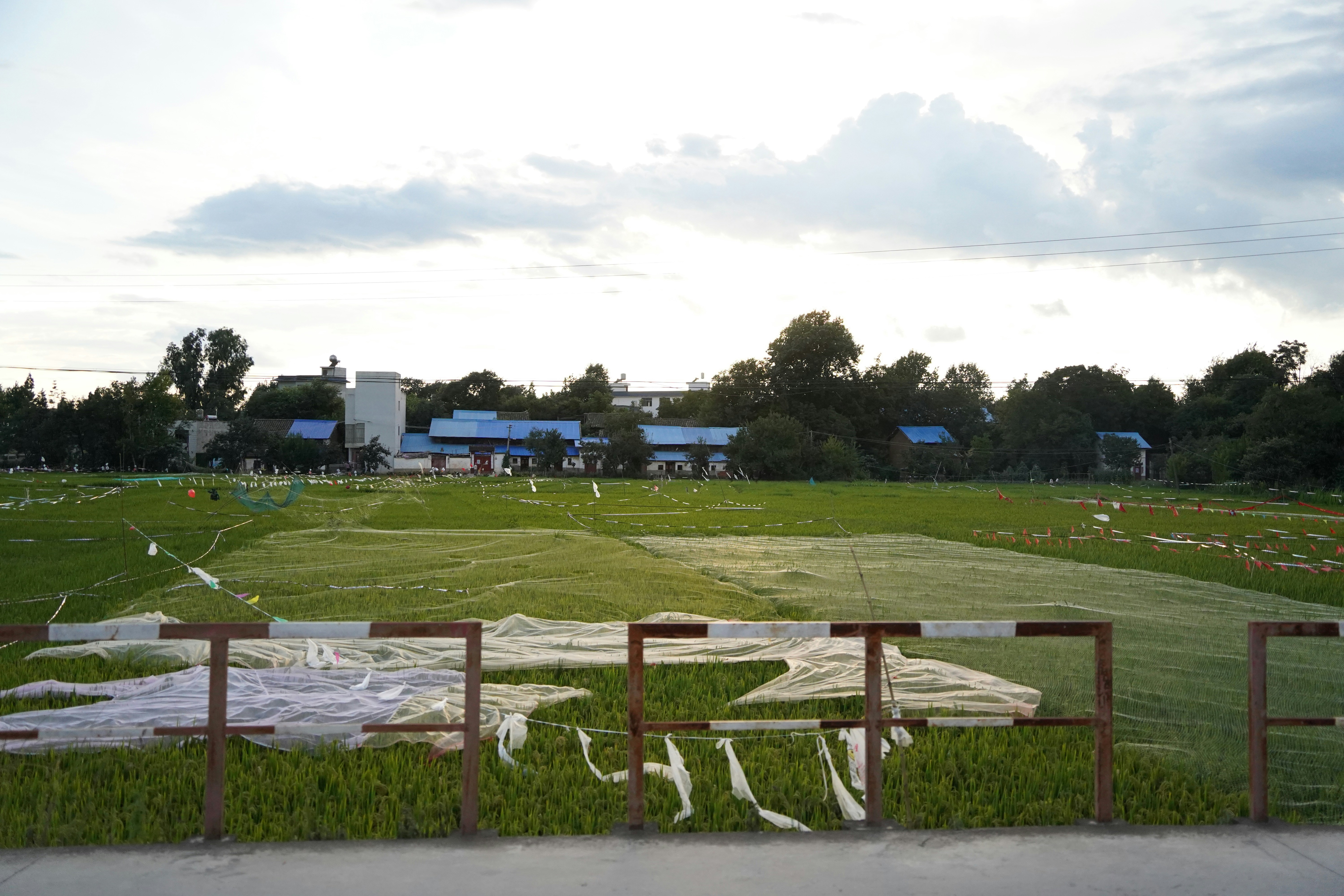 Buildings and fields under a cloudy sky