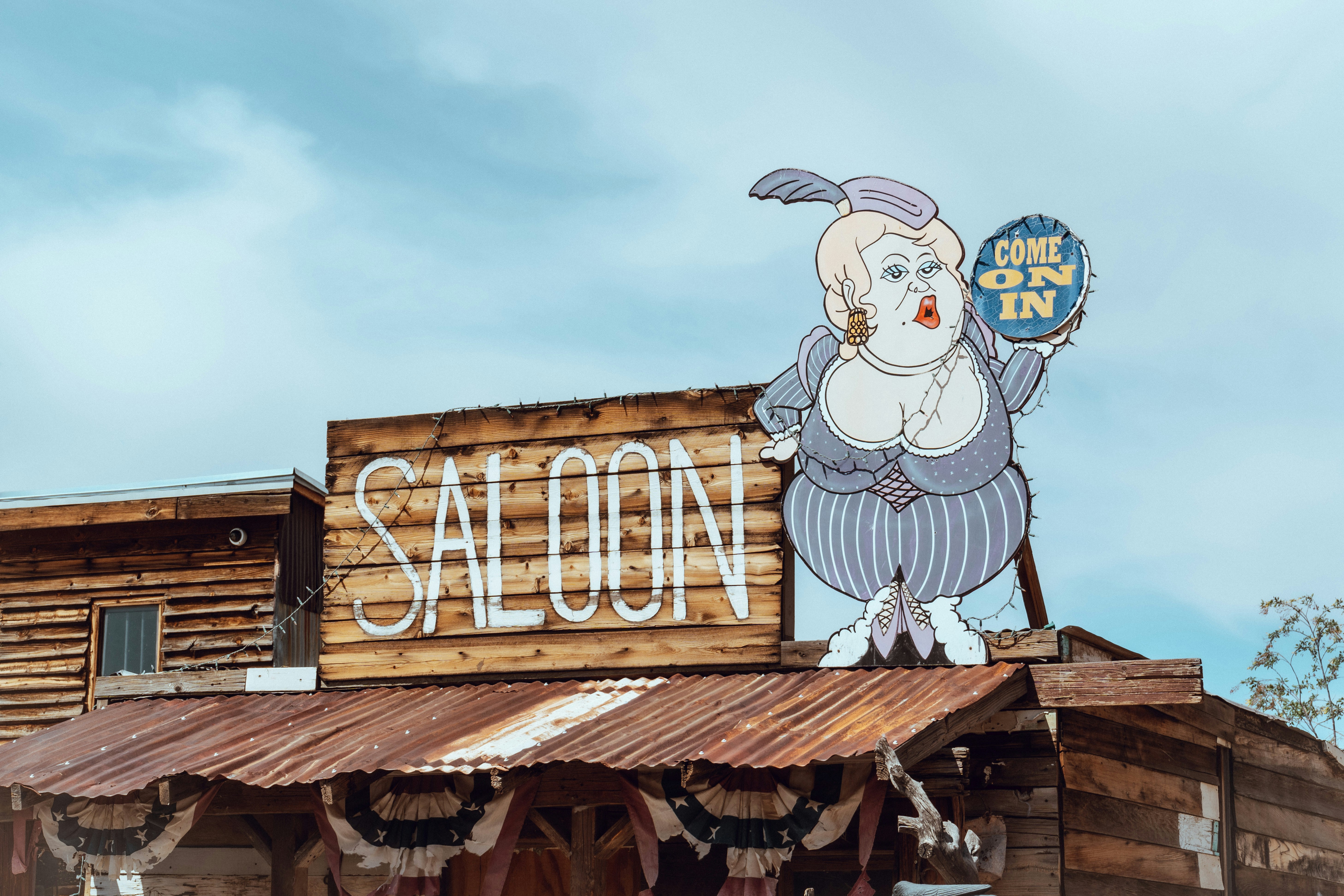 Animation specialist using software tools to rig a custom AI character