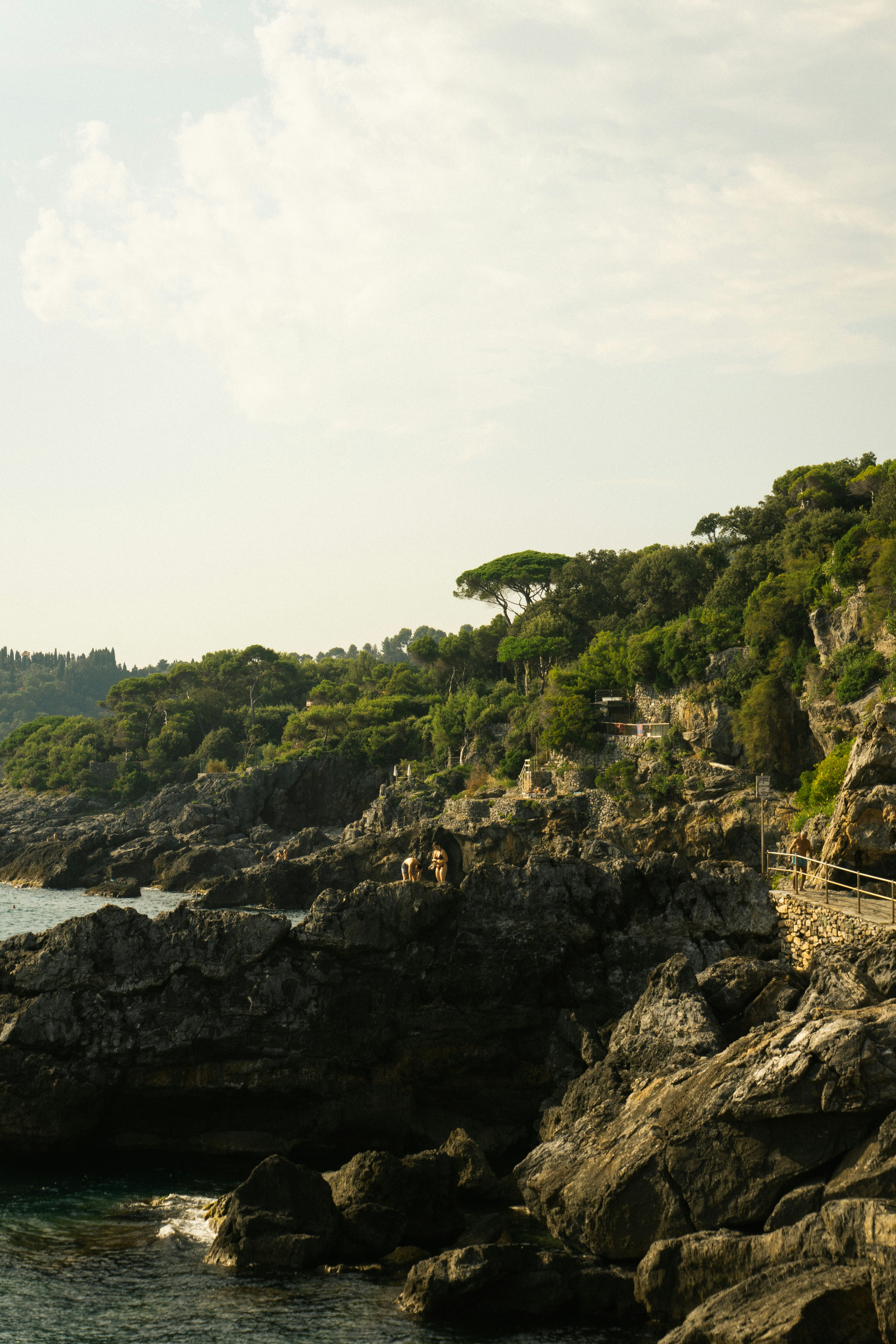 Rocky coastline with lush green trees and ocean