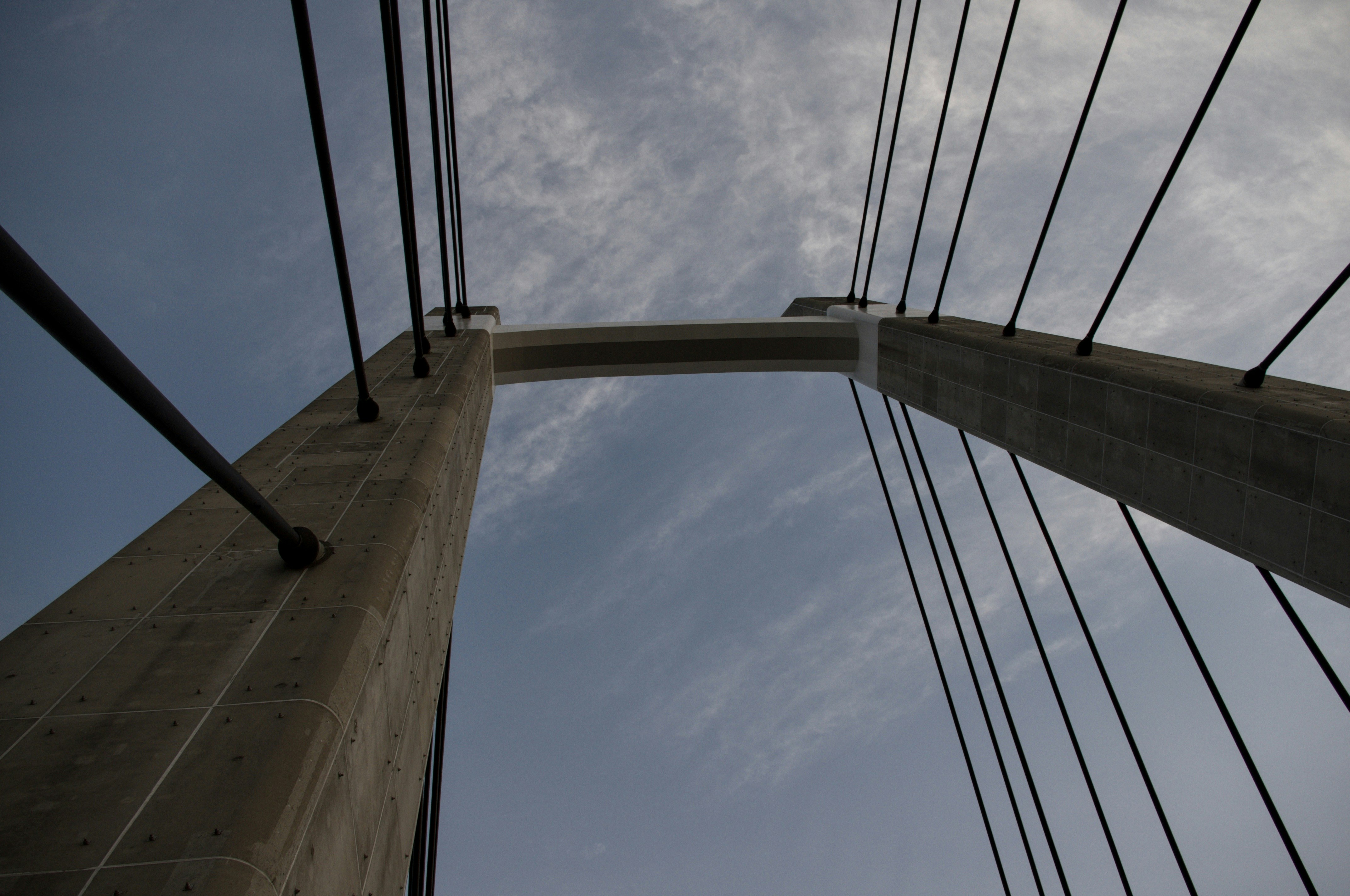 Photo by da_shika_photo