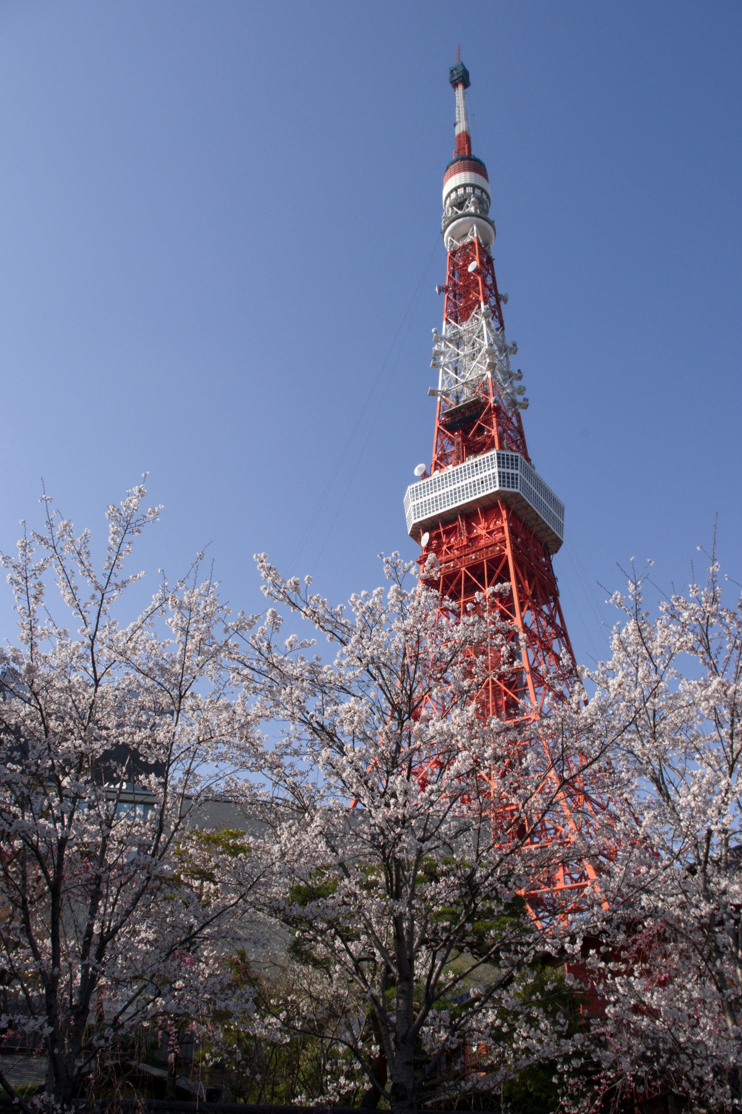 Photo by da_shika_photo