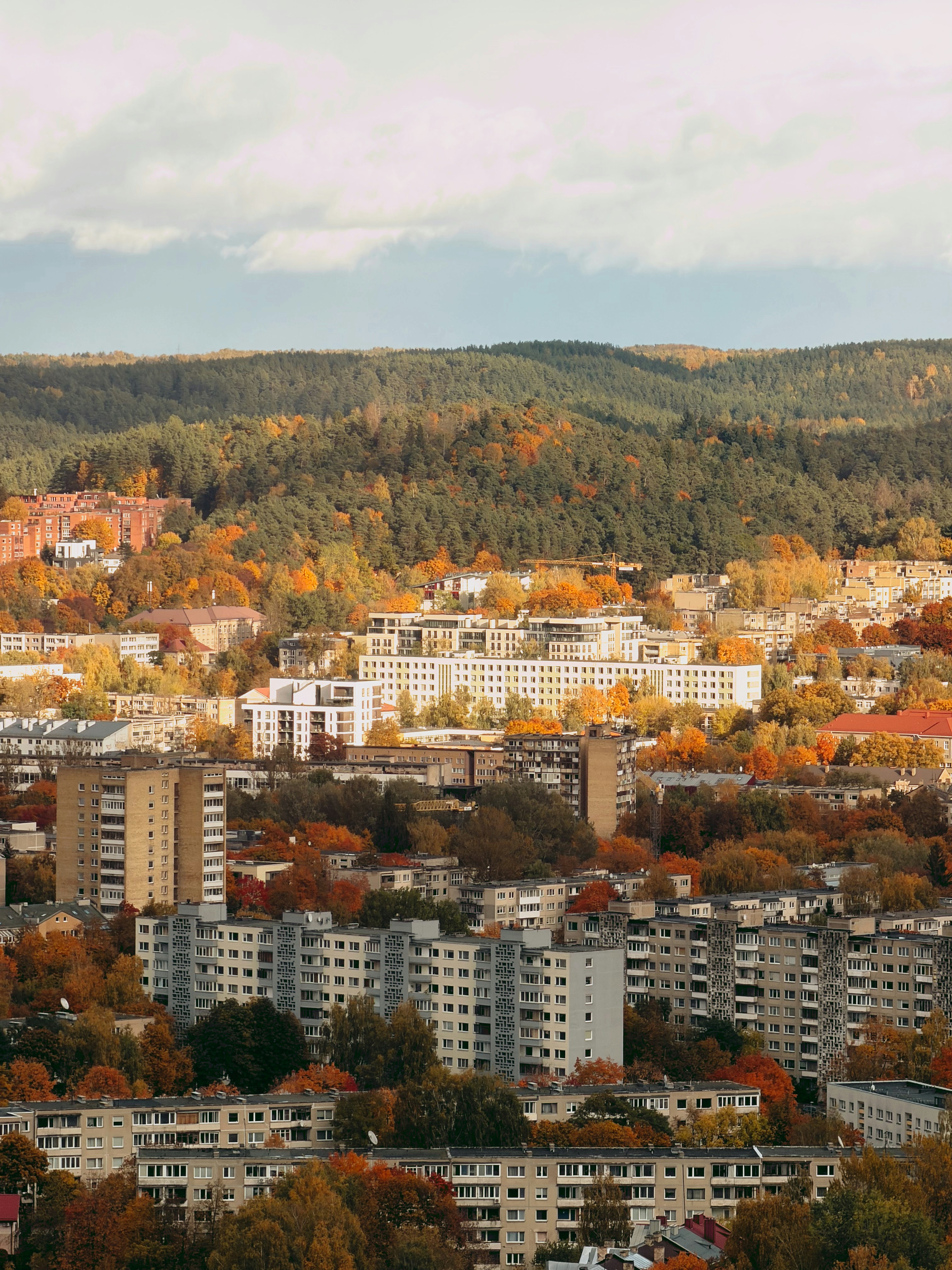 City buildings surrounded by autumn trees