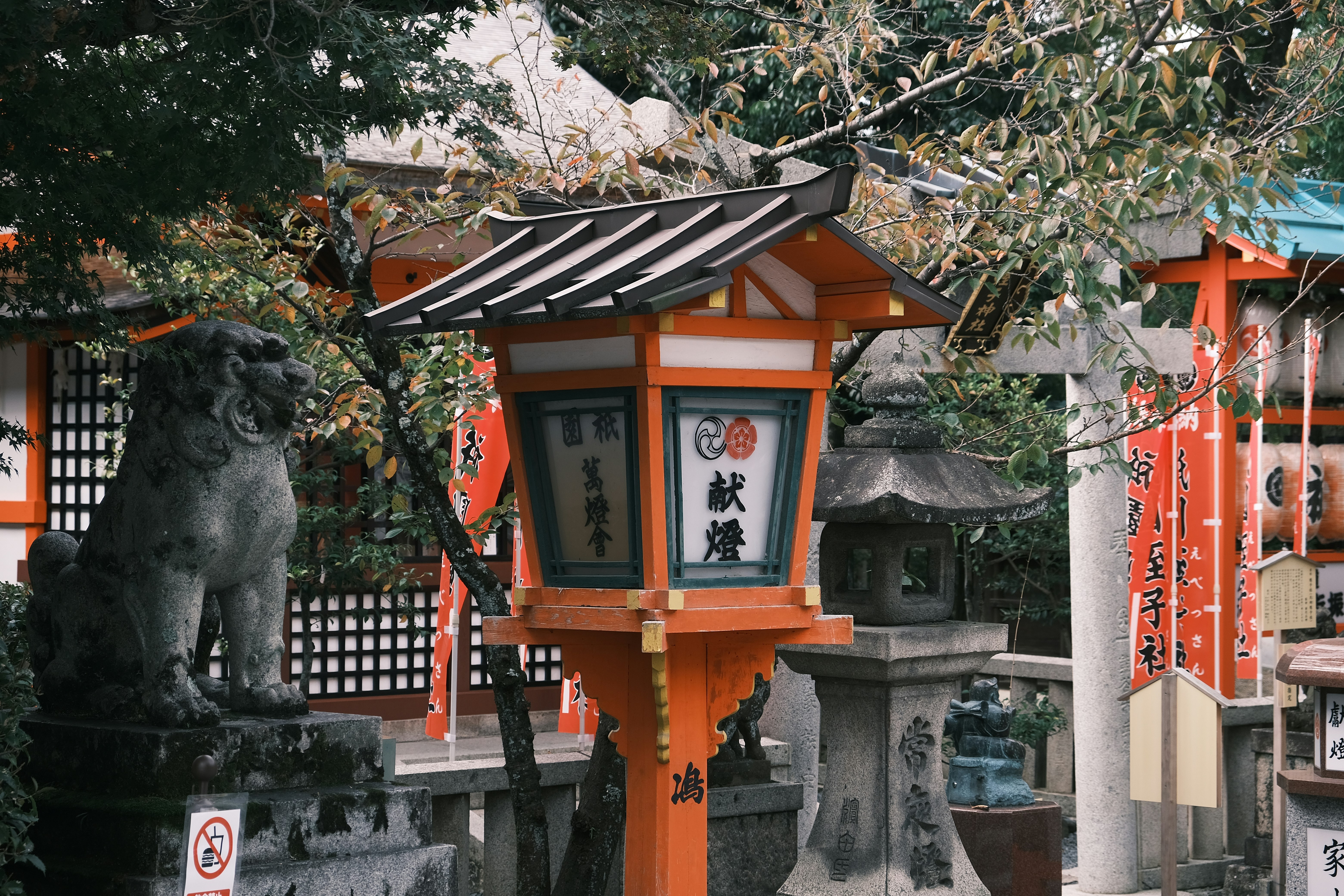 Photo by nicsandman20