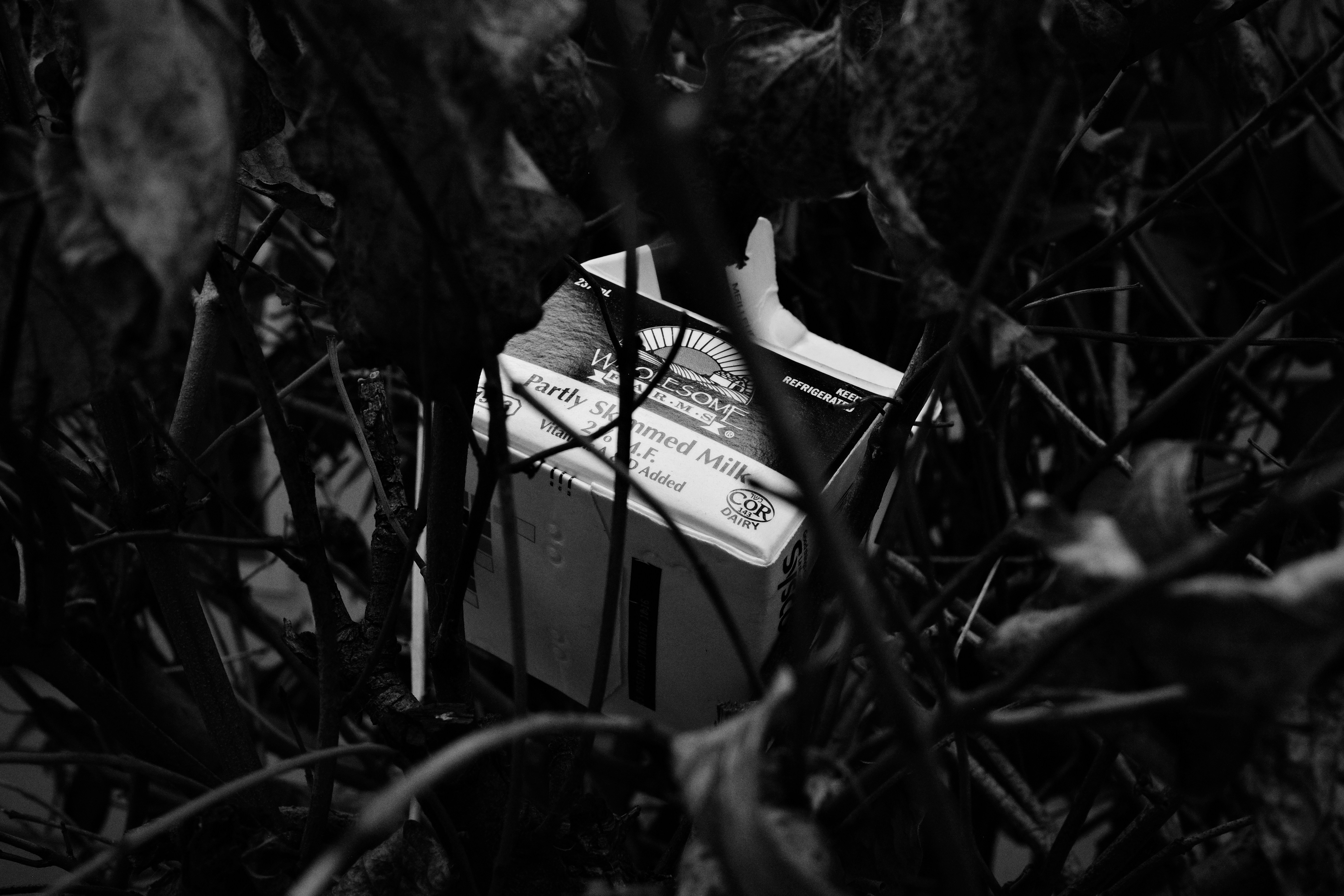 Organic Farm Products