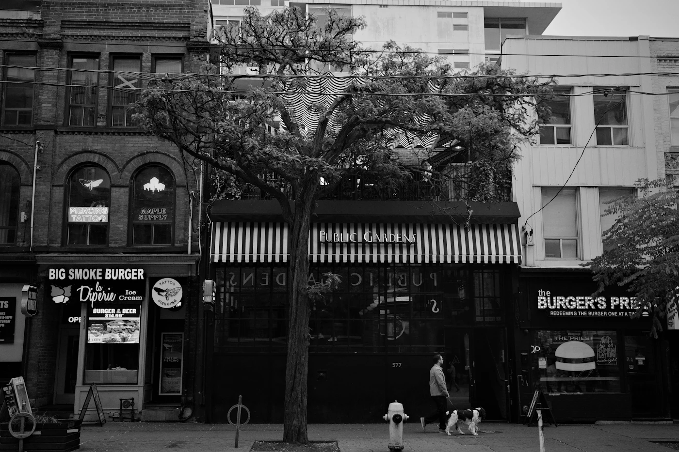 A person walking a leashed dog past lit storefronts along a city street during the day