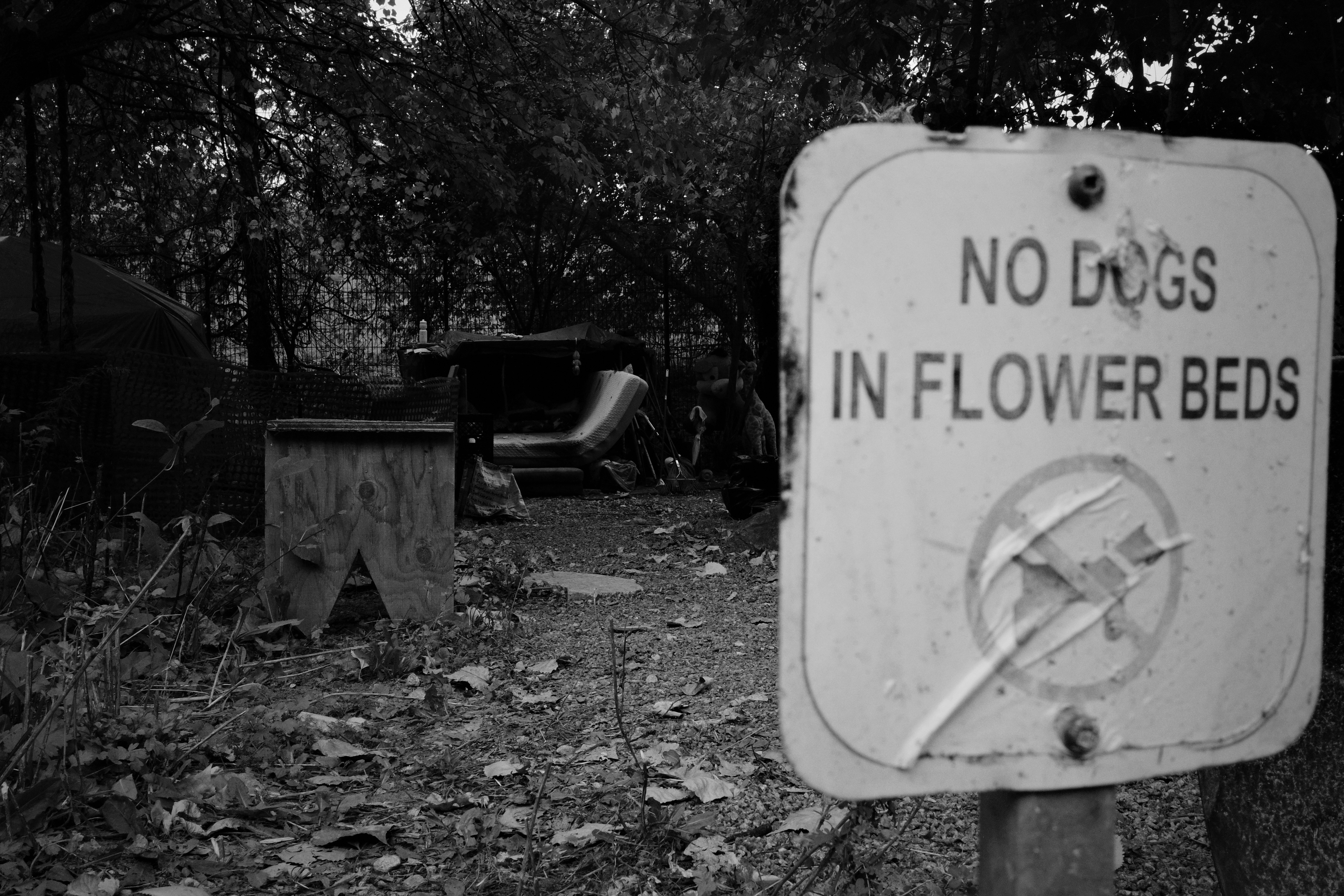 No dogs in flower beds sign in park