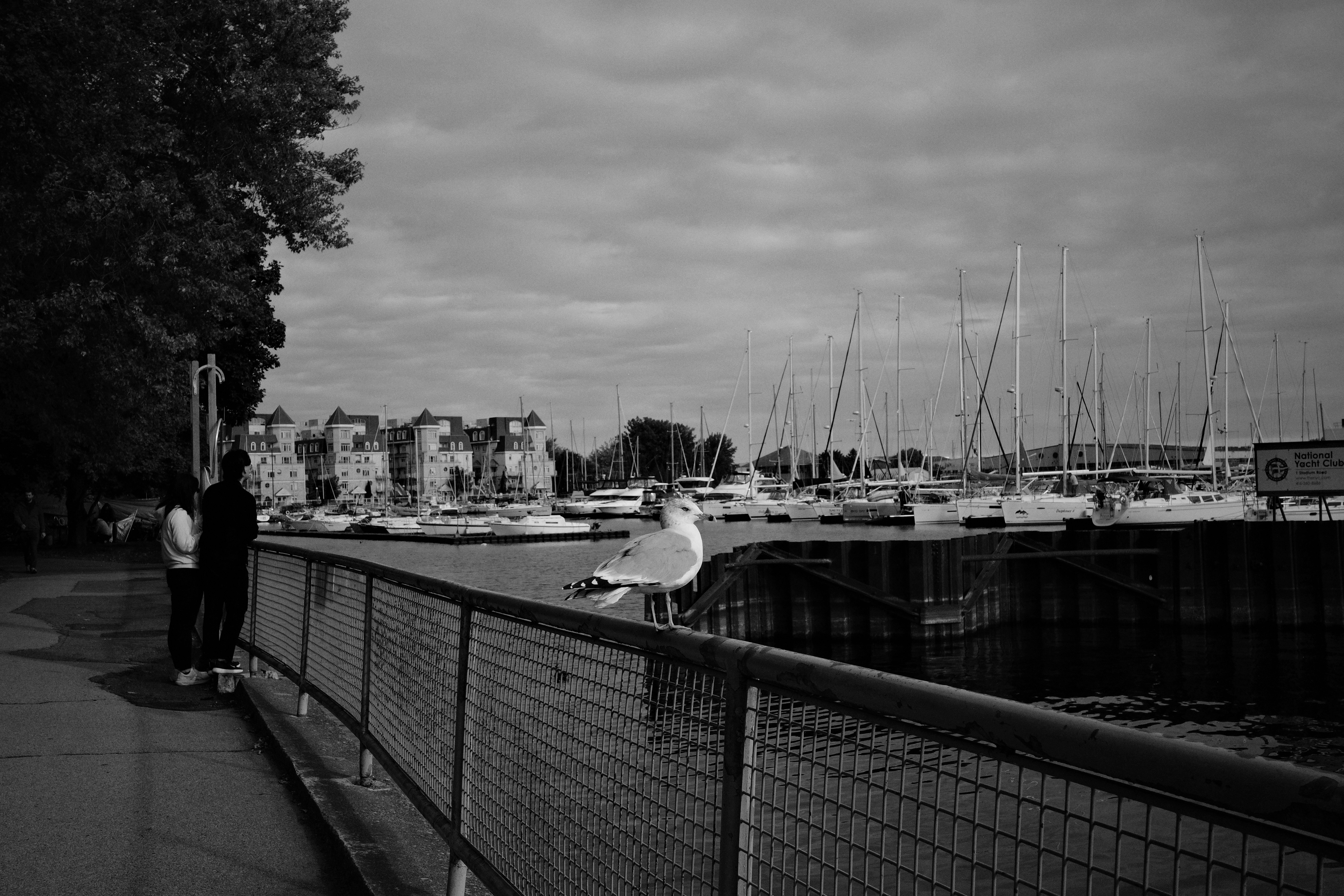 Photo by findway_jerry