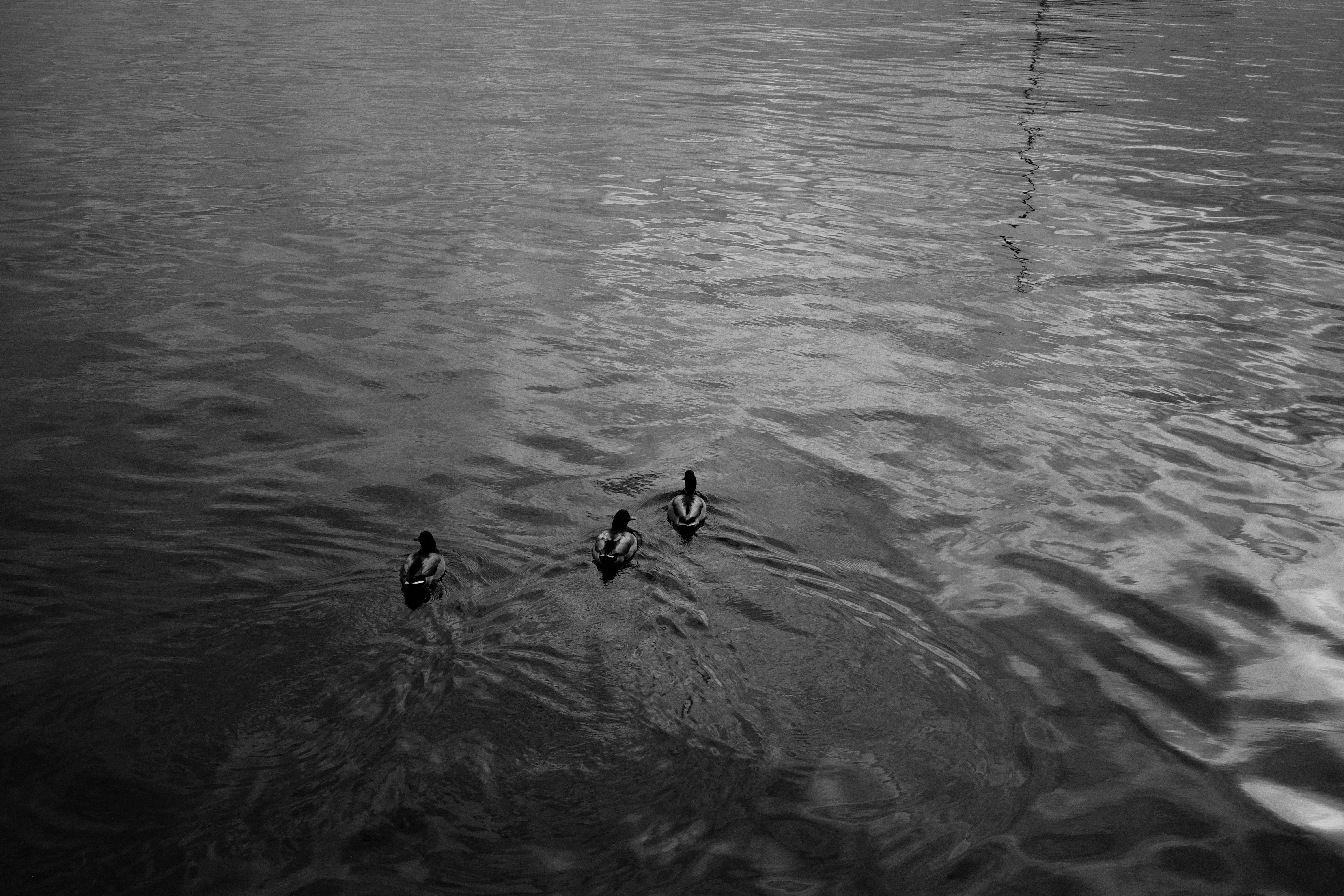 Photo by findway_jerry