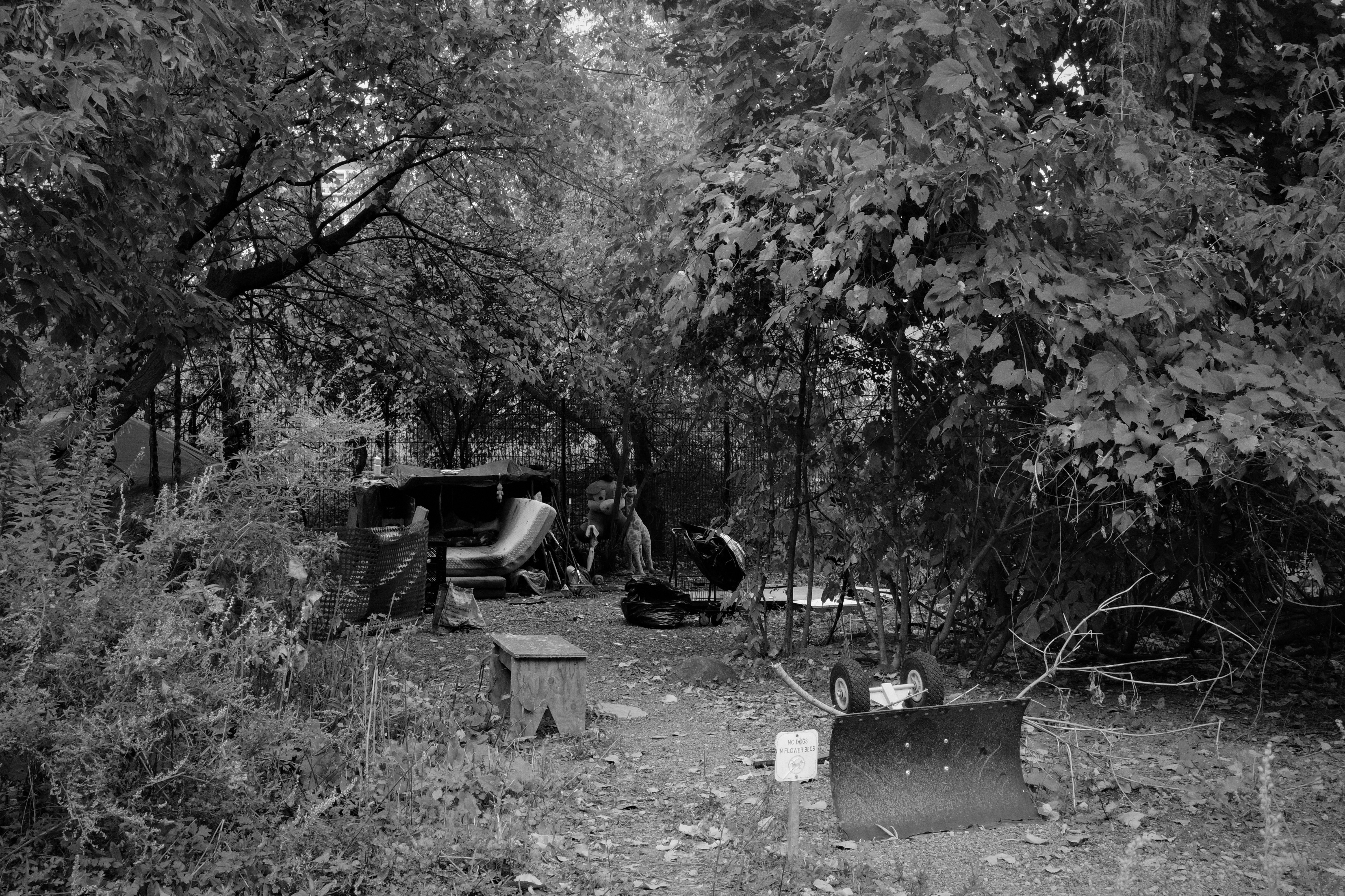 Photo by findway_jerry