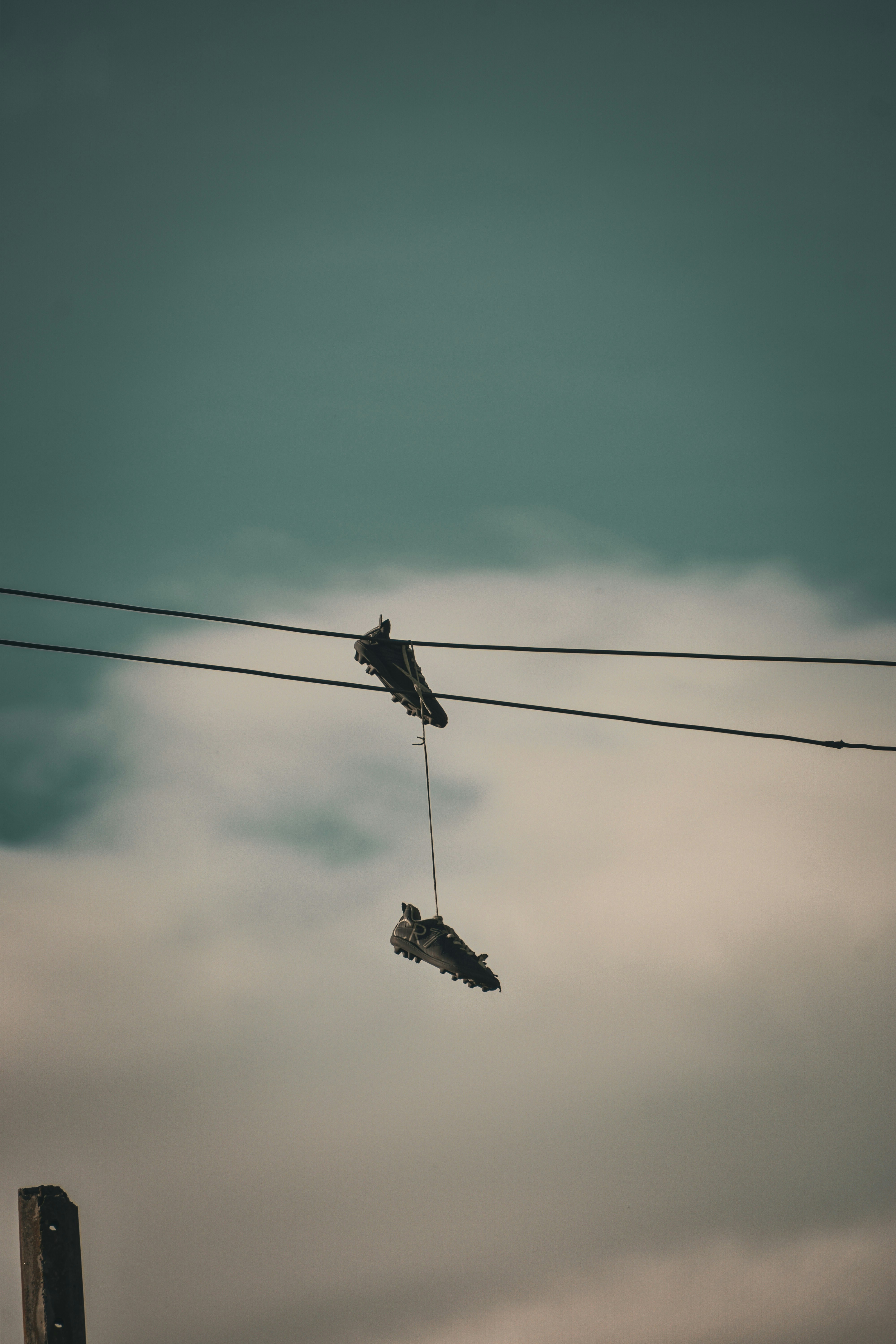 Photo by sebaslaverde_nkn