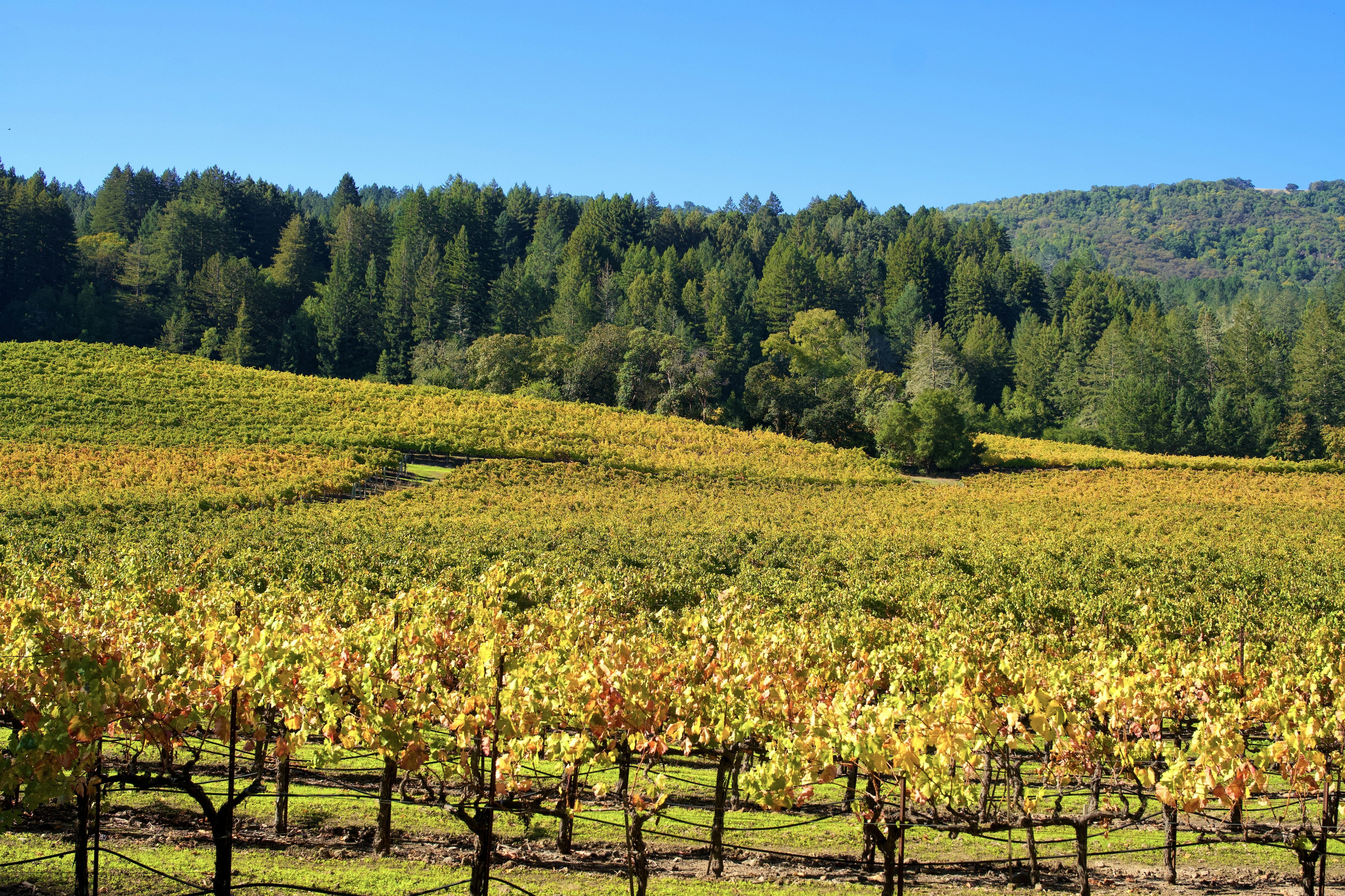 Photo by spencer_demera