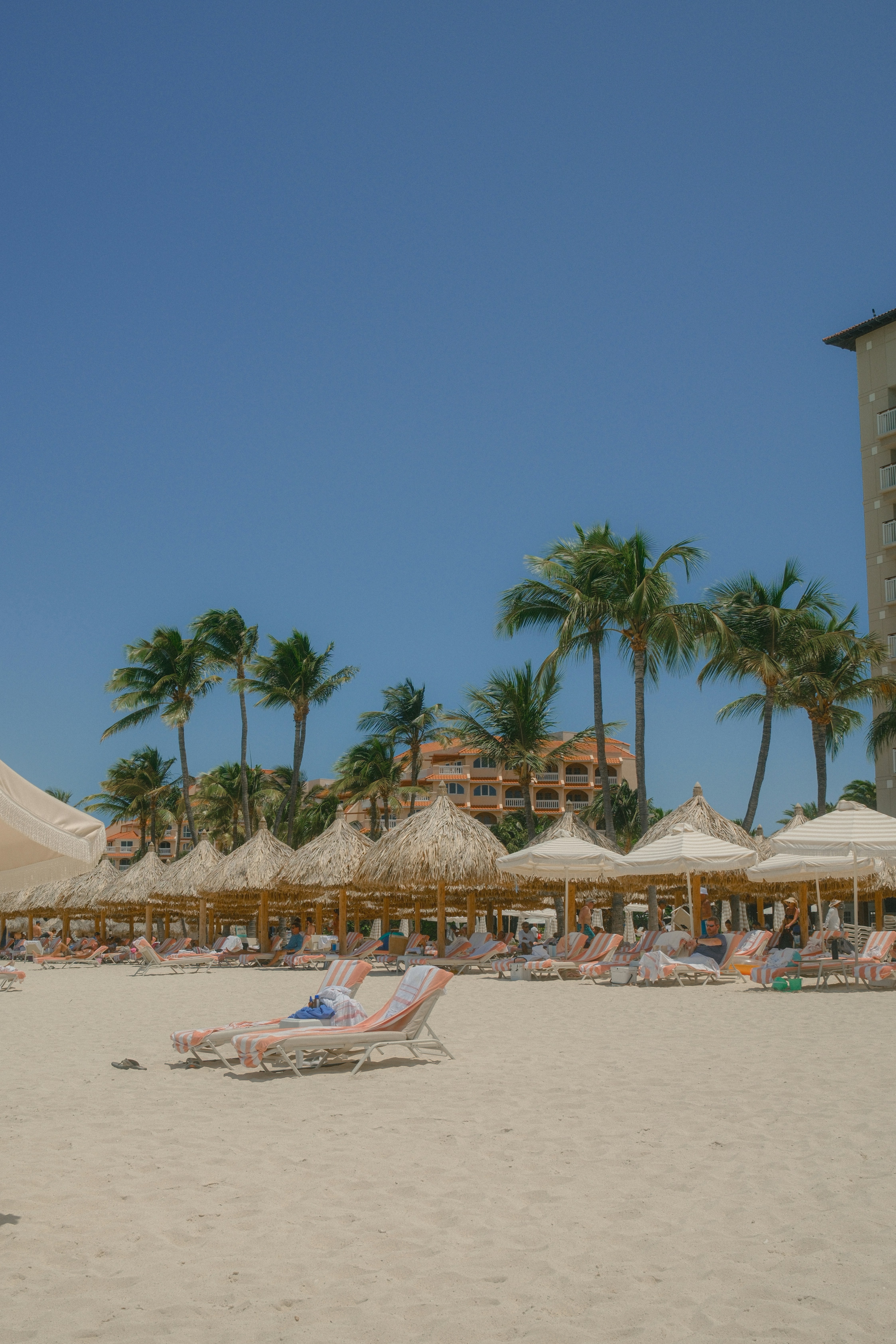 Plage avec palmiers, parasols et chaises longues.