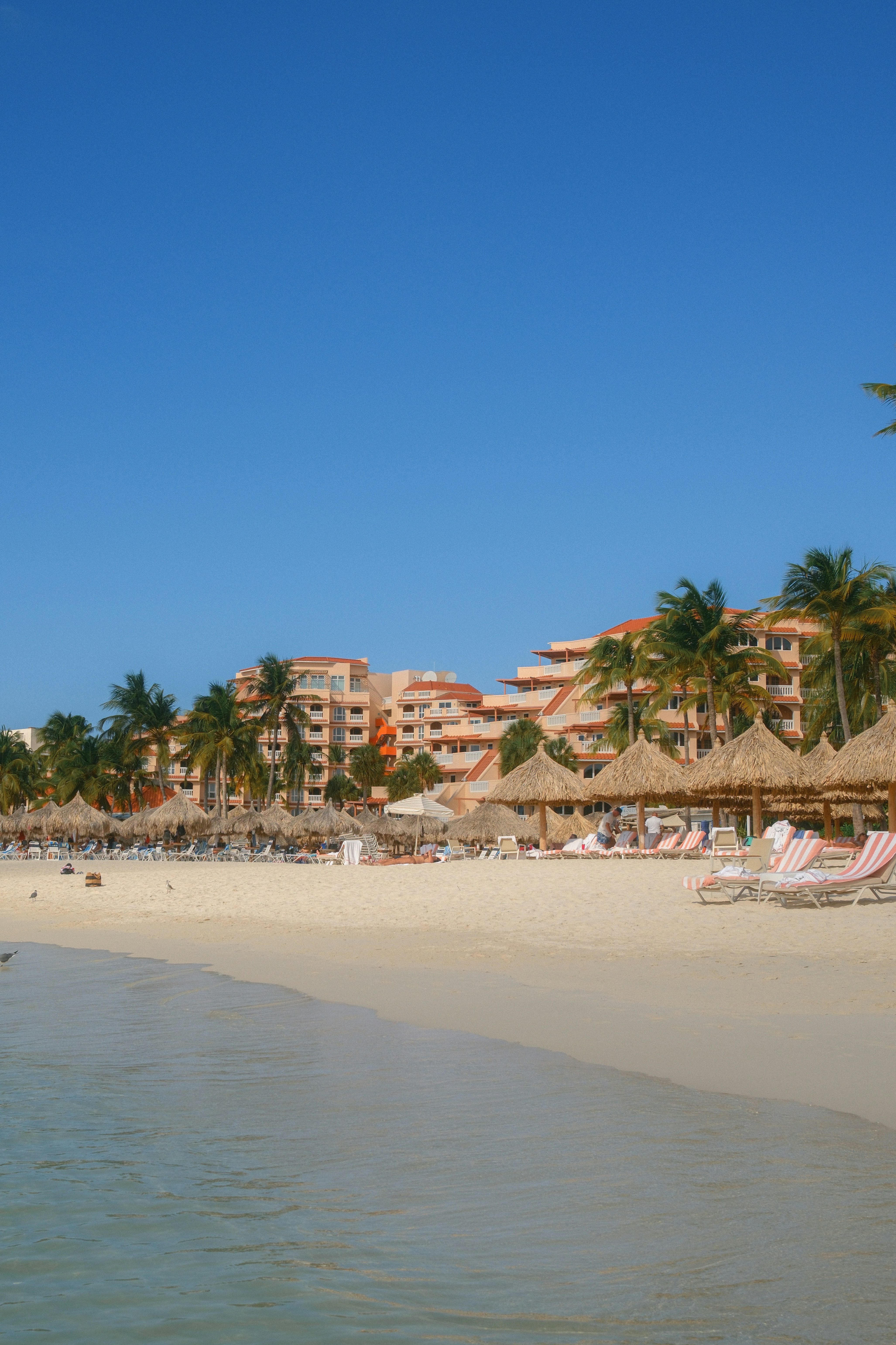 Plage tropicale avec palmiers et bâtiments de villégiature