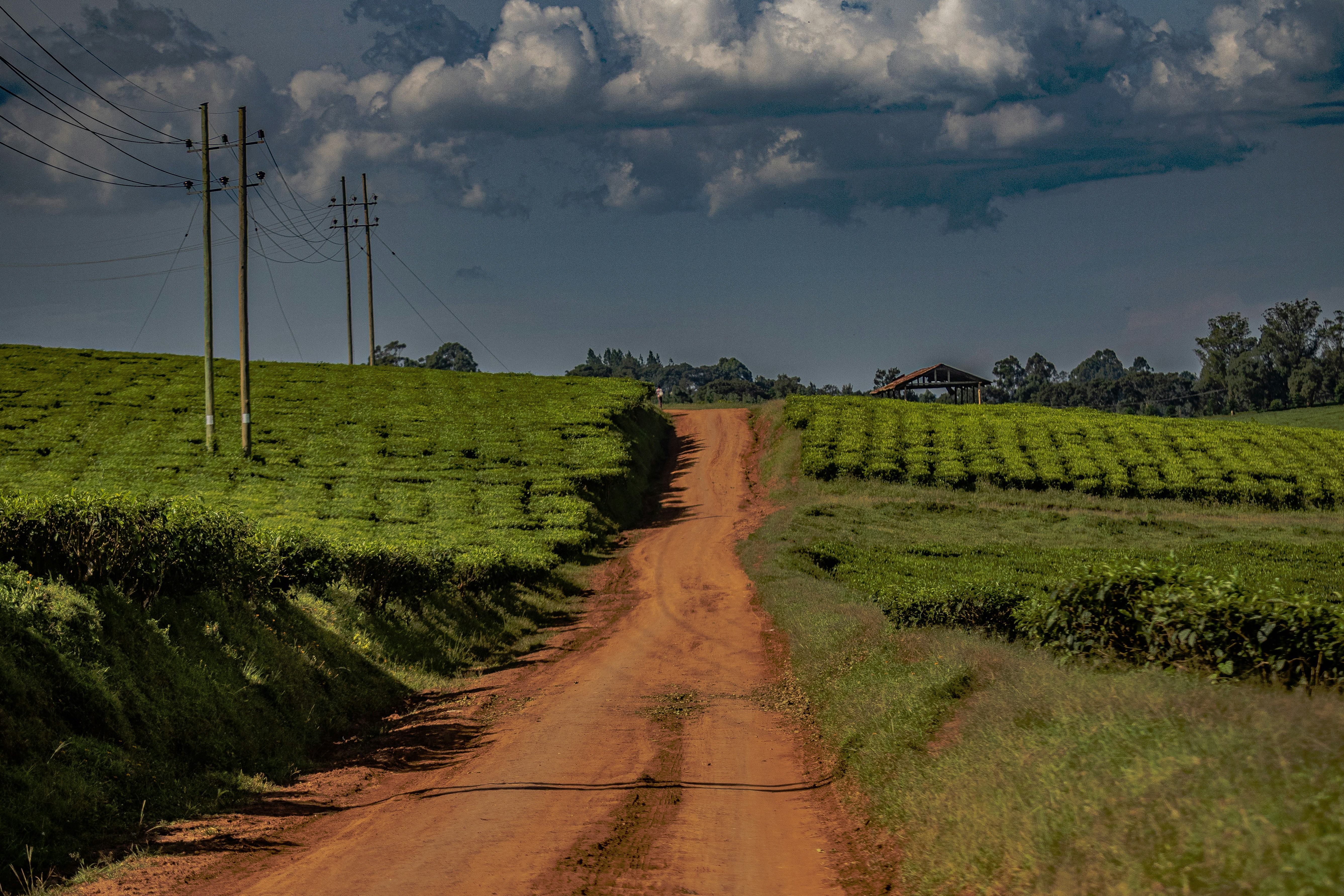 Uganda: Funding Shortfalls Push Uganda's Refugees Deeper Into Hunger