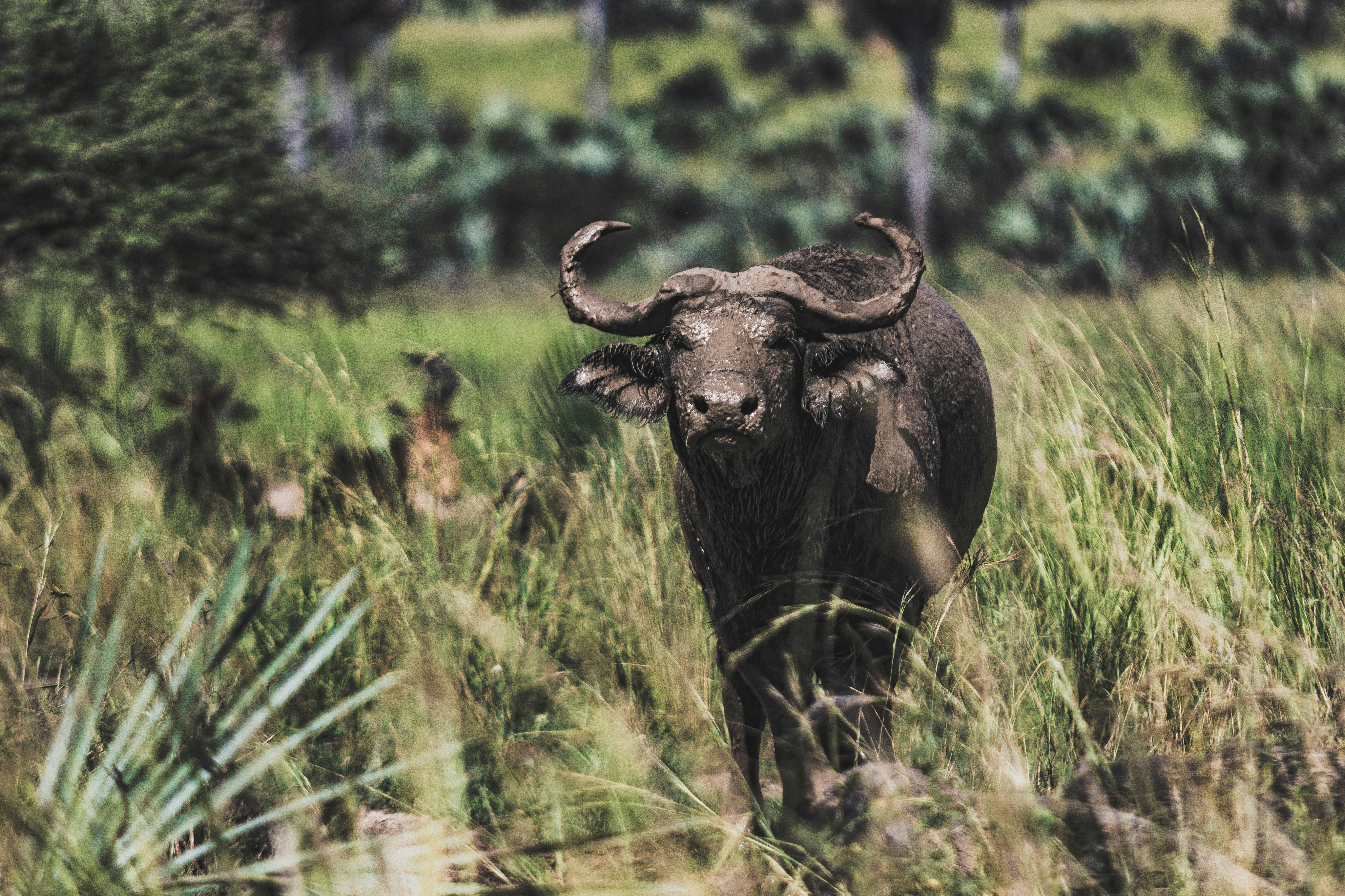 Photo by starkie_pics