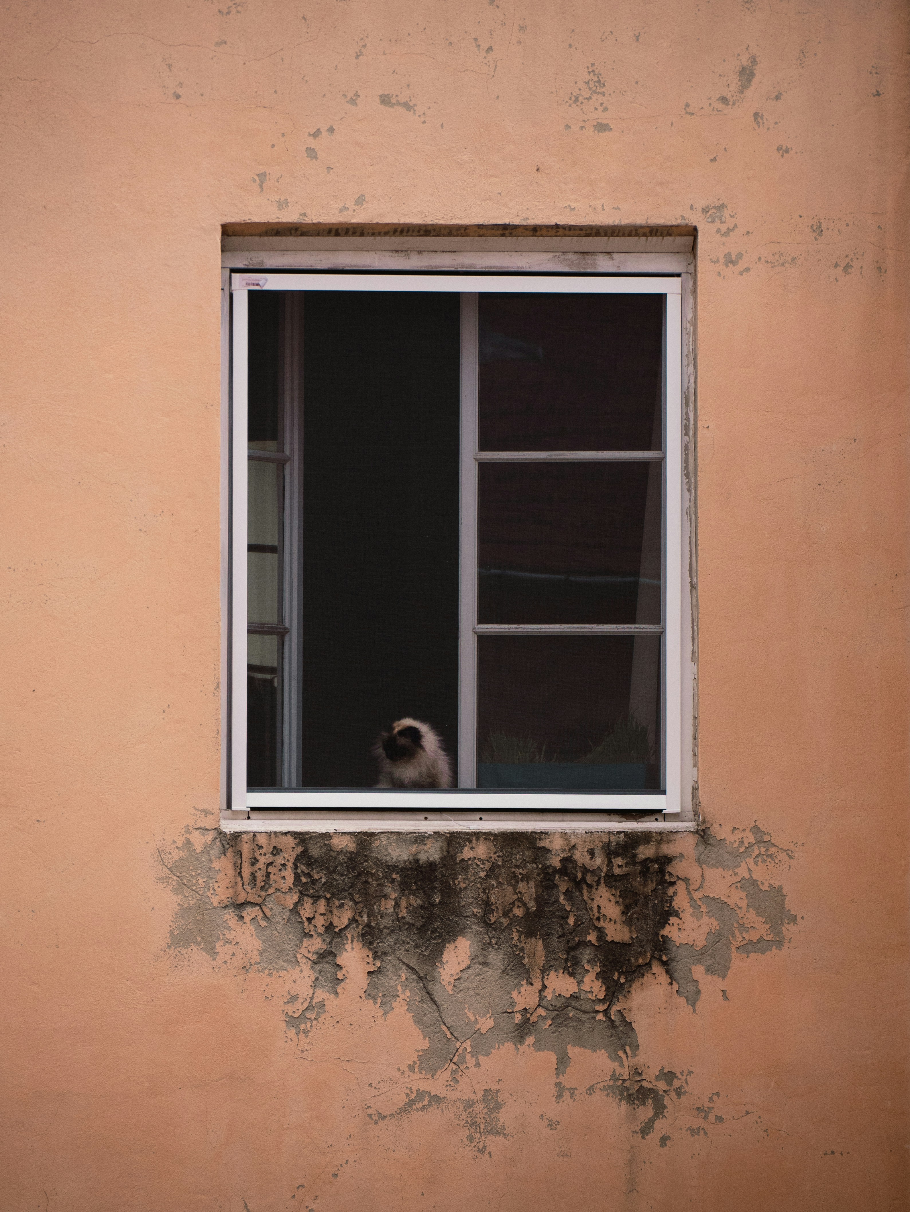 Photo by frameyoureyes