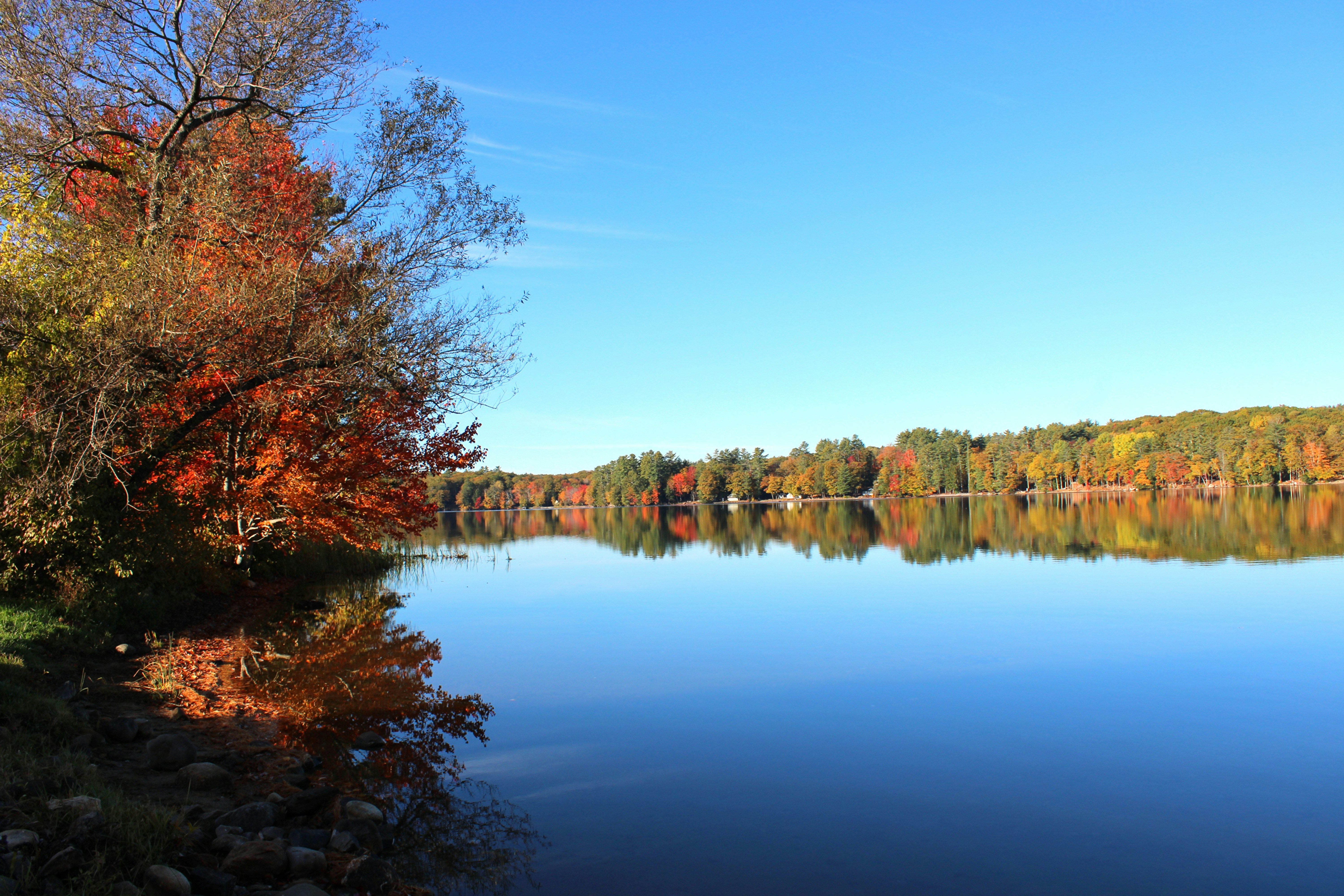 Photo by sbmcphotography