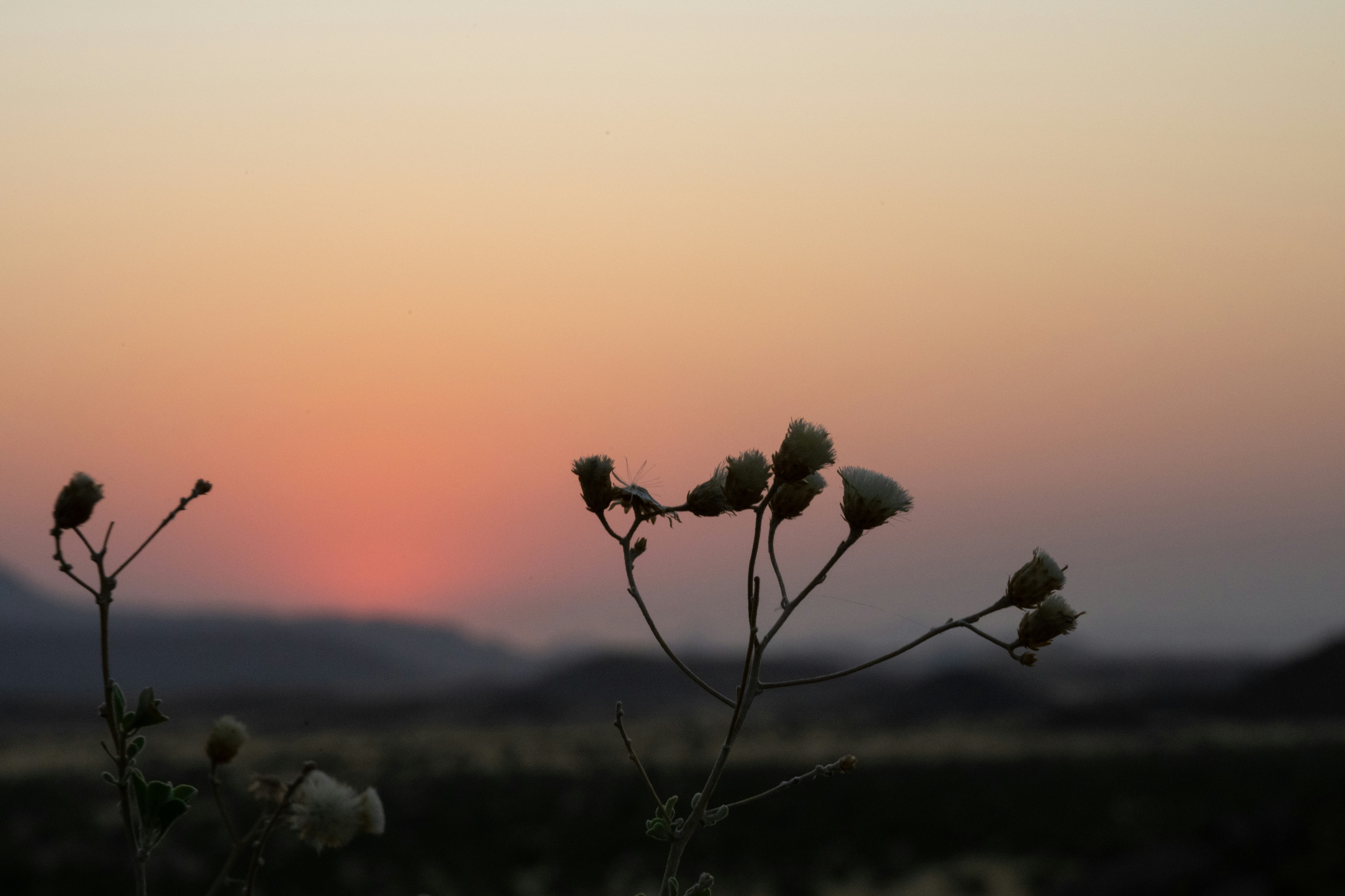 Wildlife Wonders of Africa: An Indian Traveller’s Safari Sutra Experience