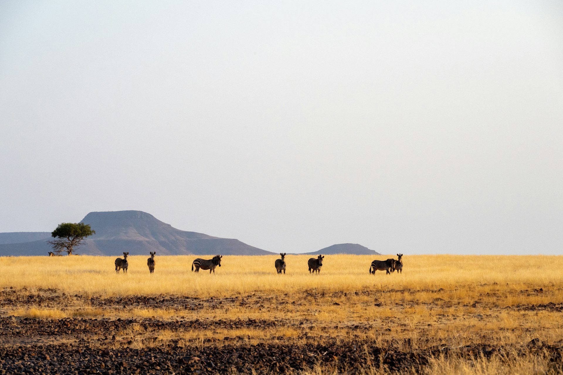 Namibia Highlights