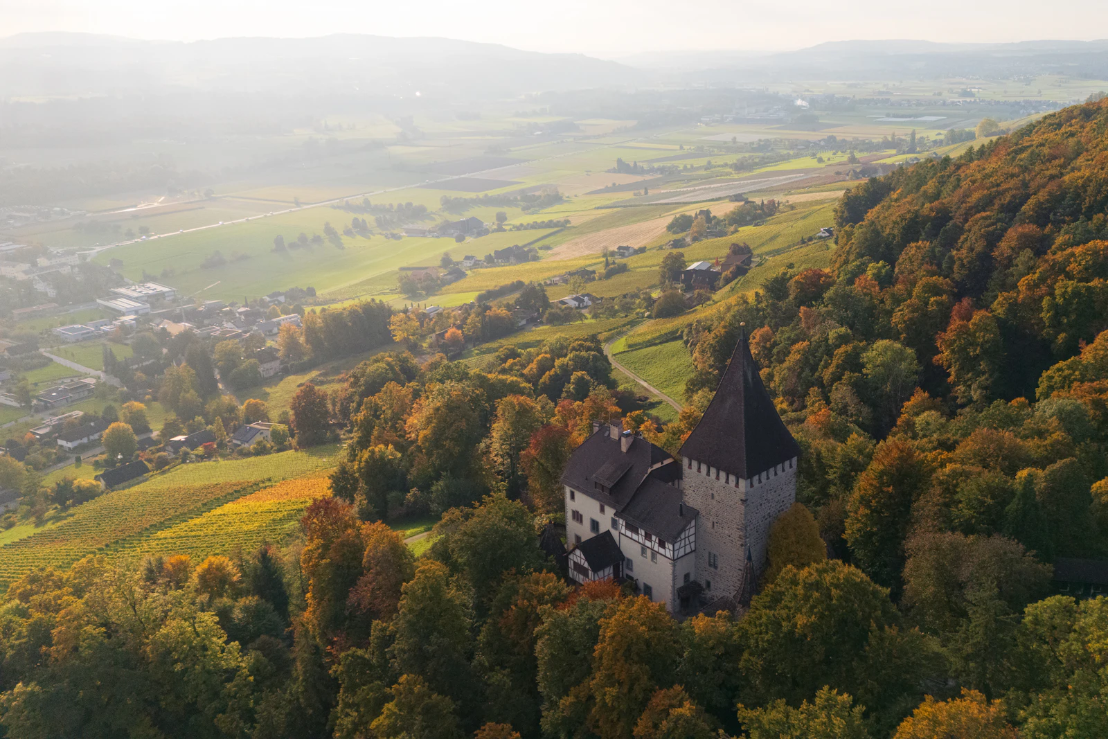 Château suisse entouré de vignes et de forêt aux couleurs d'automne, vu du ciel